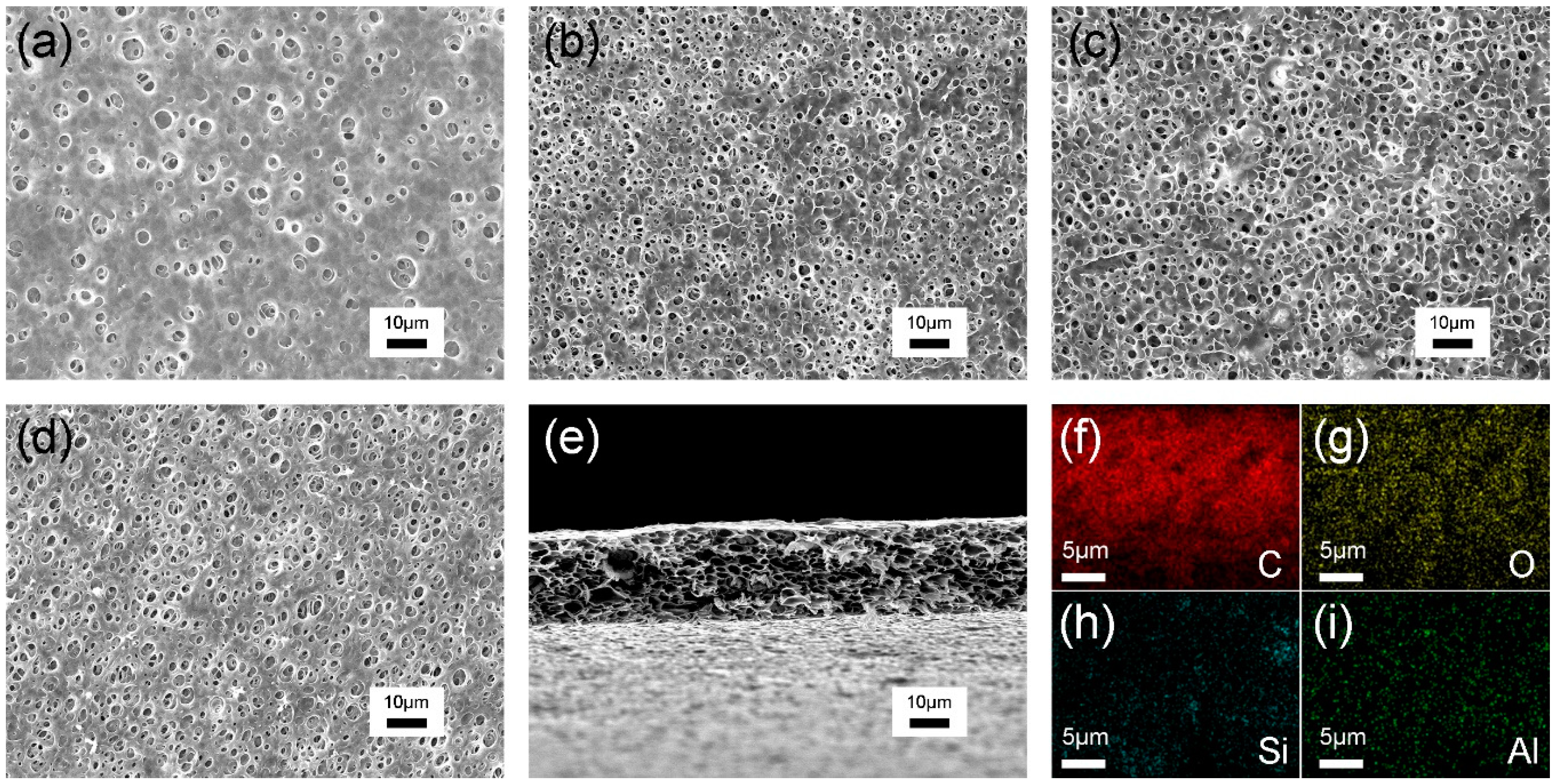 Polymers 12 00764 g002