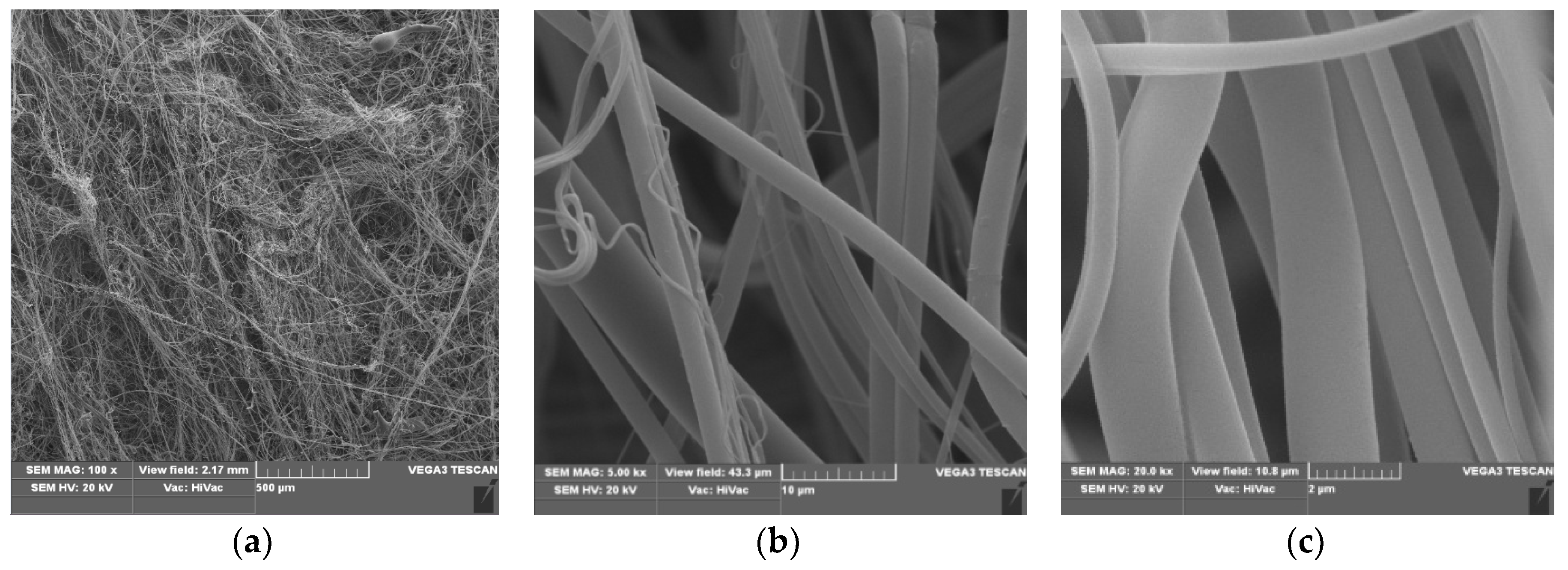 Polymers 12 00768 g002 Polymers 12 00768 g002