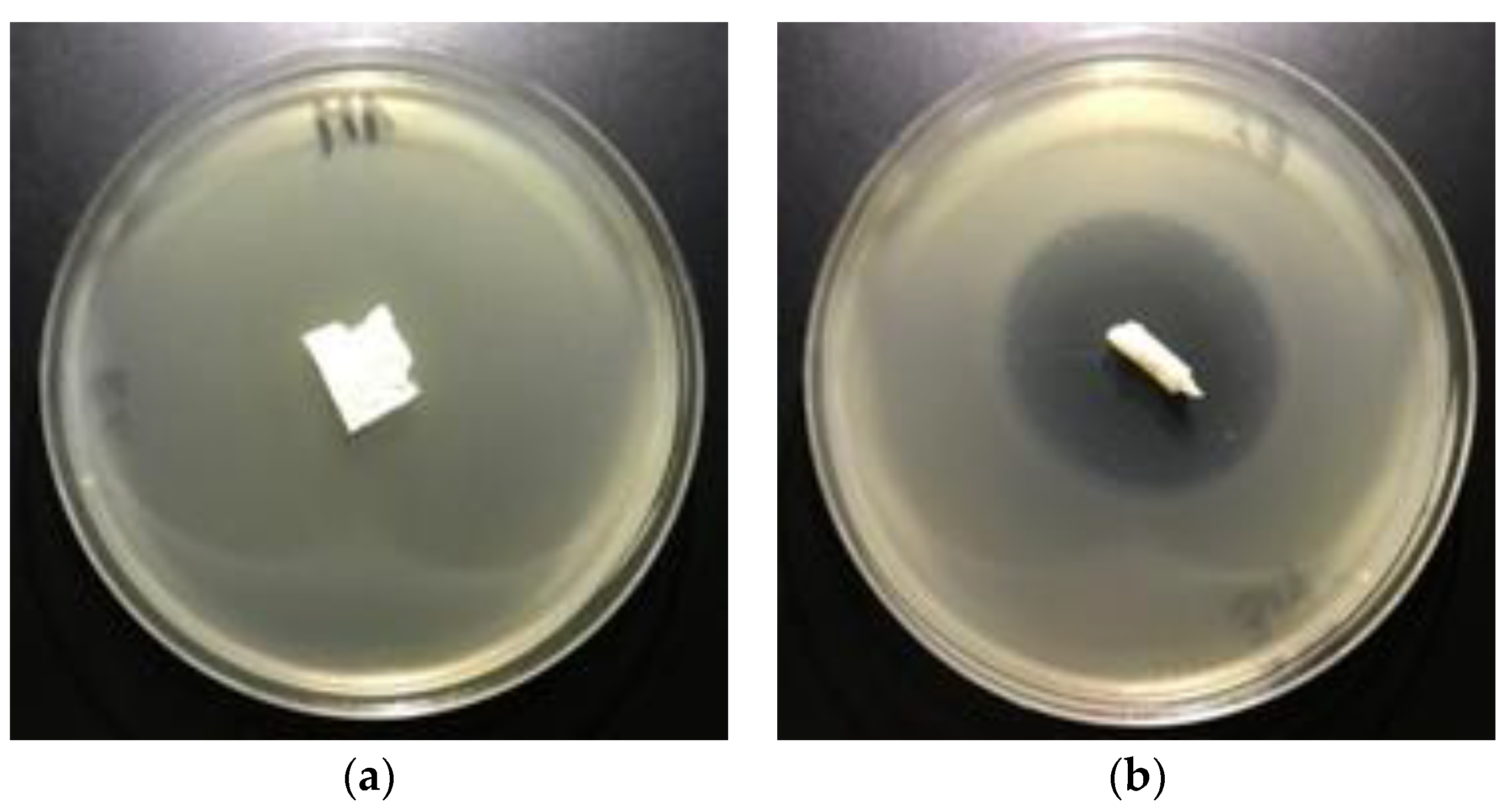 Polymers 12 00768 g008a Polymers 12 00768 g008a