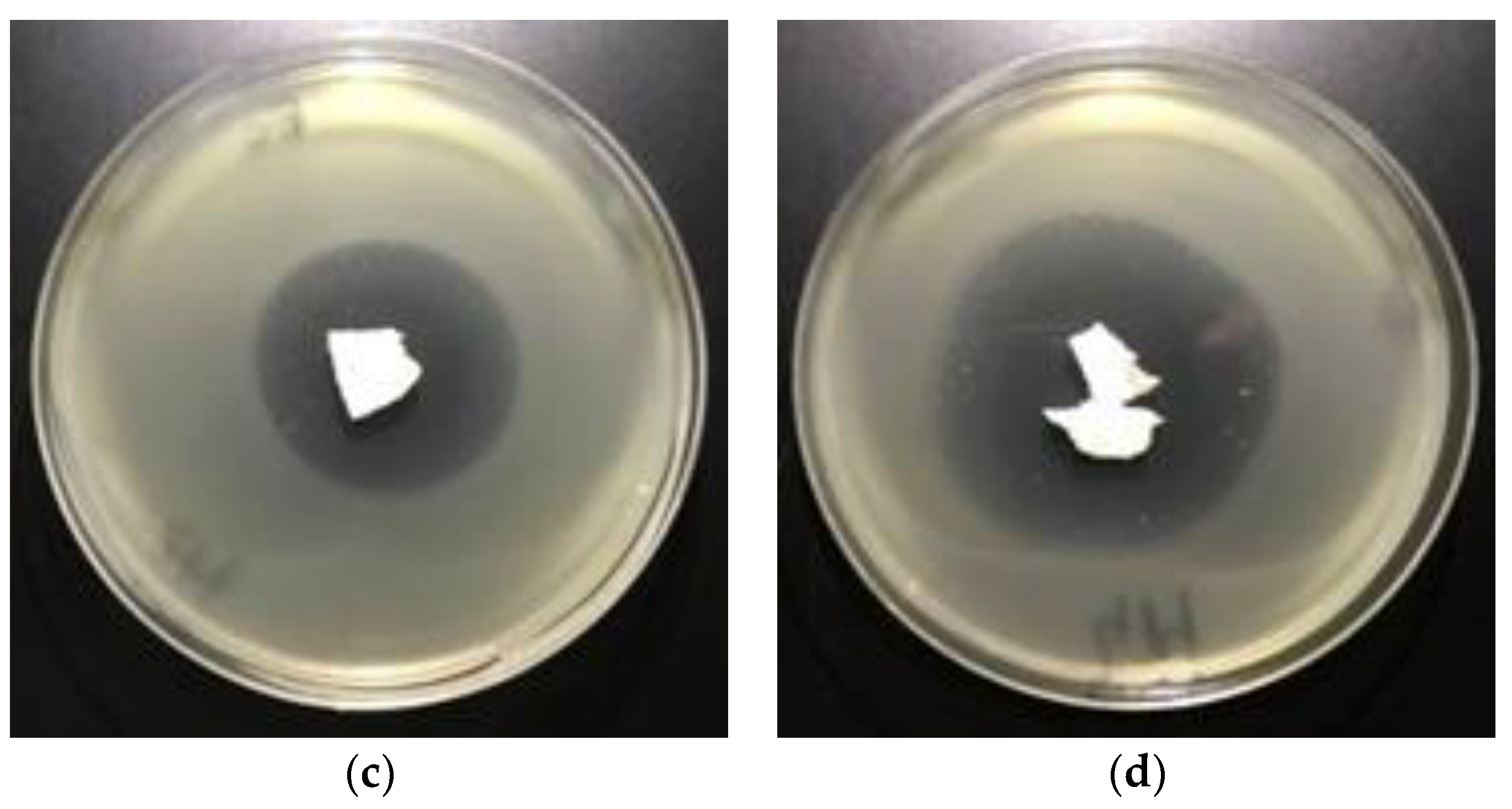 Polymers 12 00768 g008b Polymers 12 00768 g008b