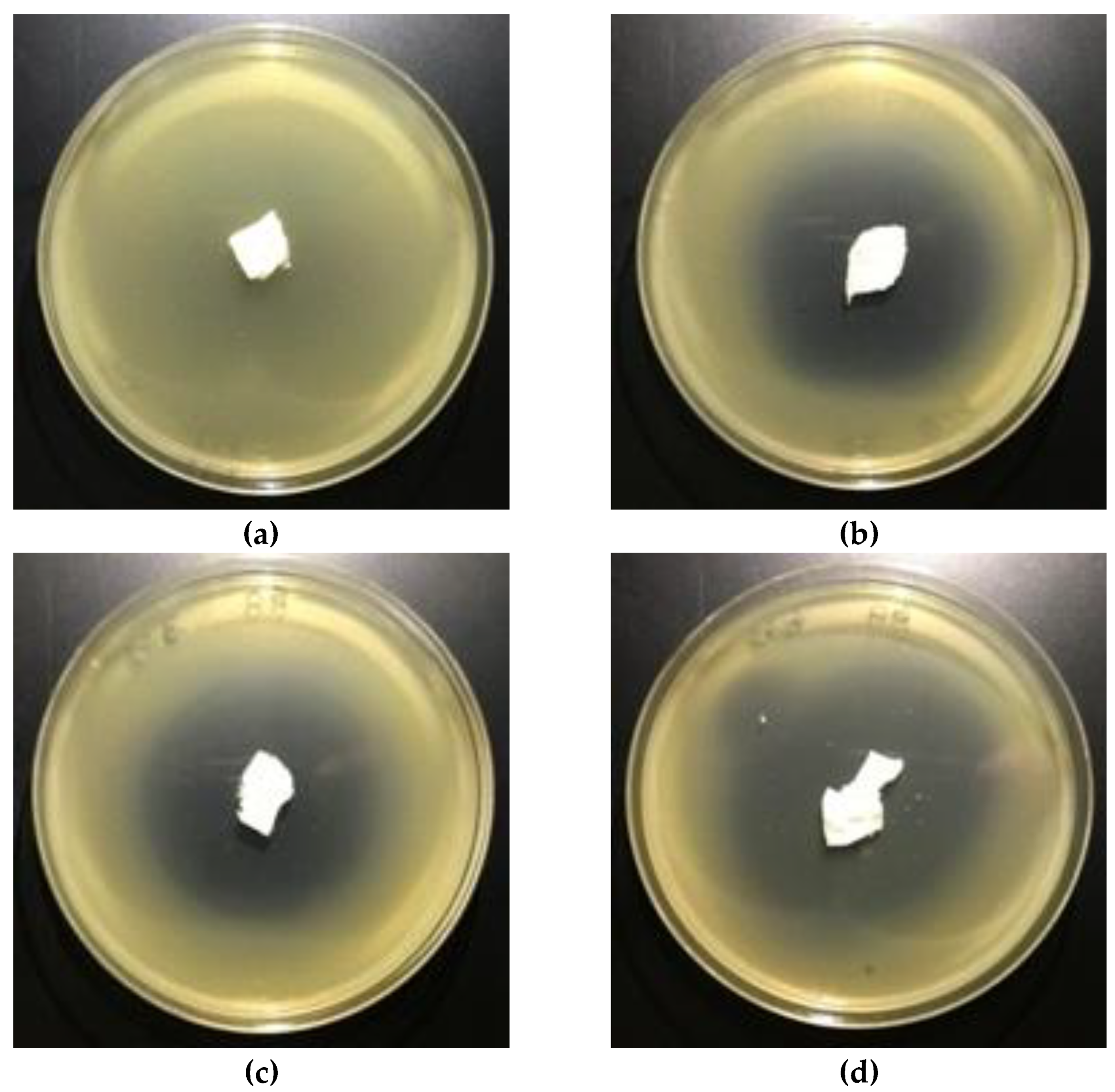 Polymers 12 00768 g009 Polymers 12 00768 g009