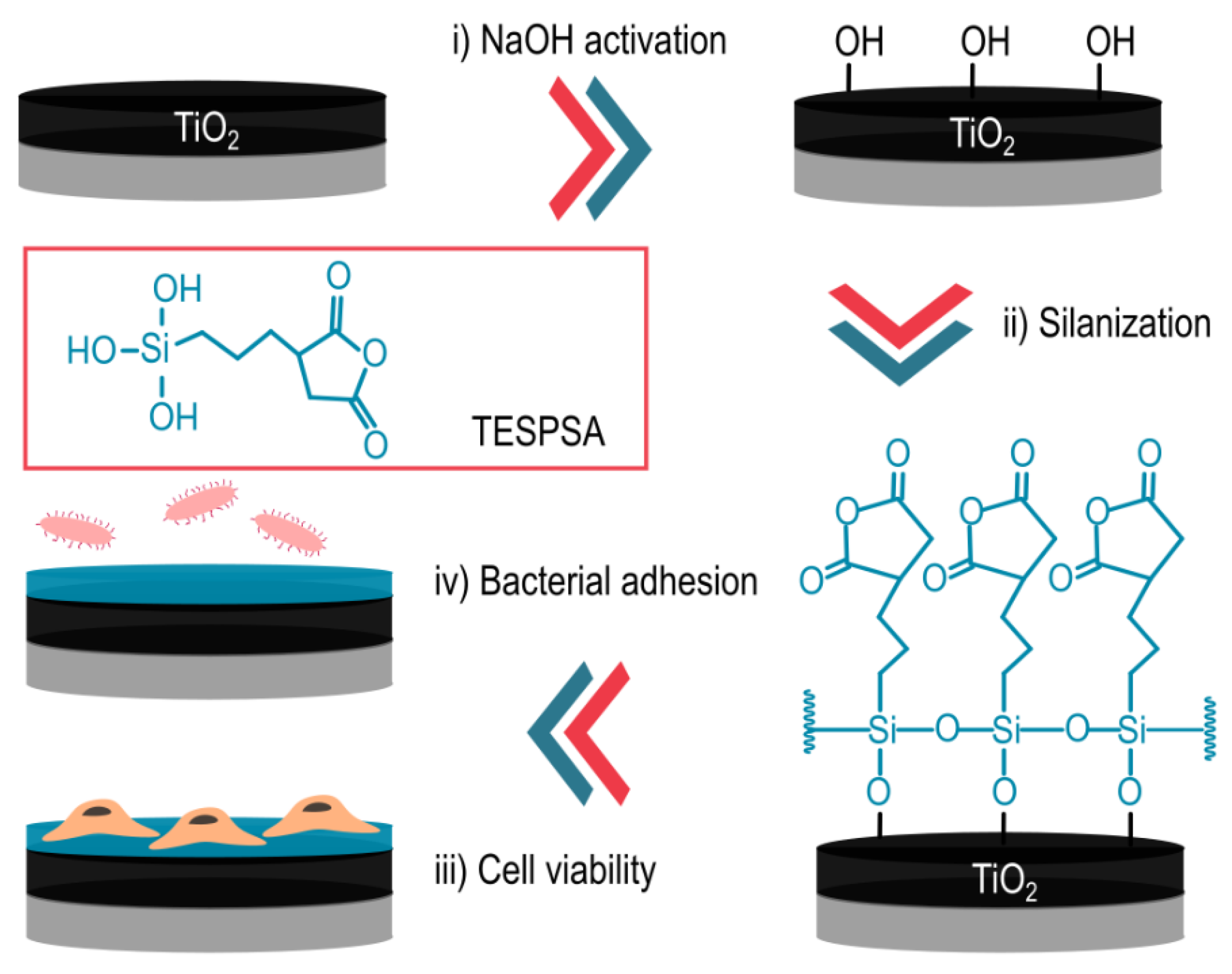 Polymers 12 00773 g001 Polymers 12 00773 g001