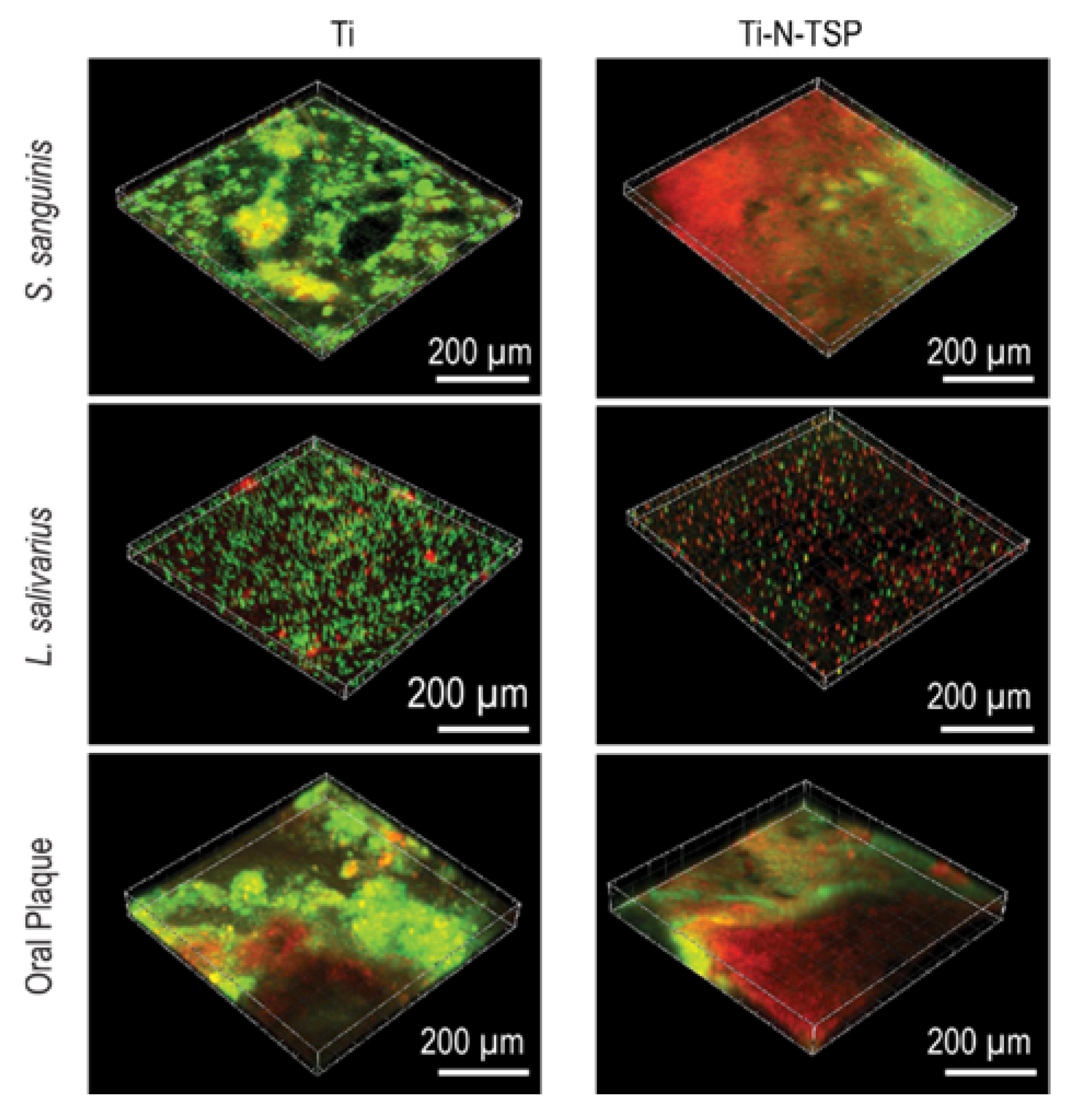 Polymers 12 00773 g005 Polymers 12 00773 g005