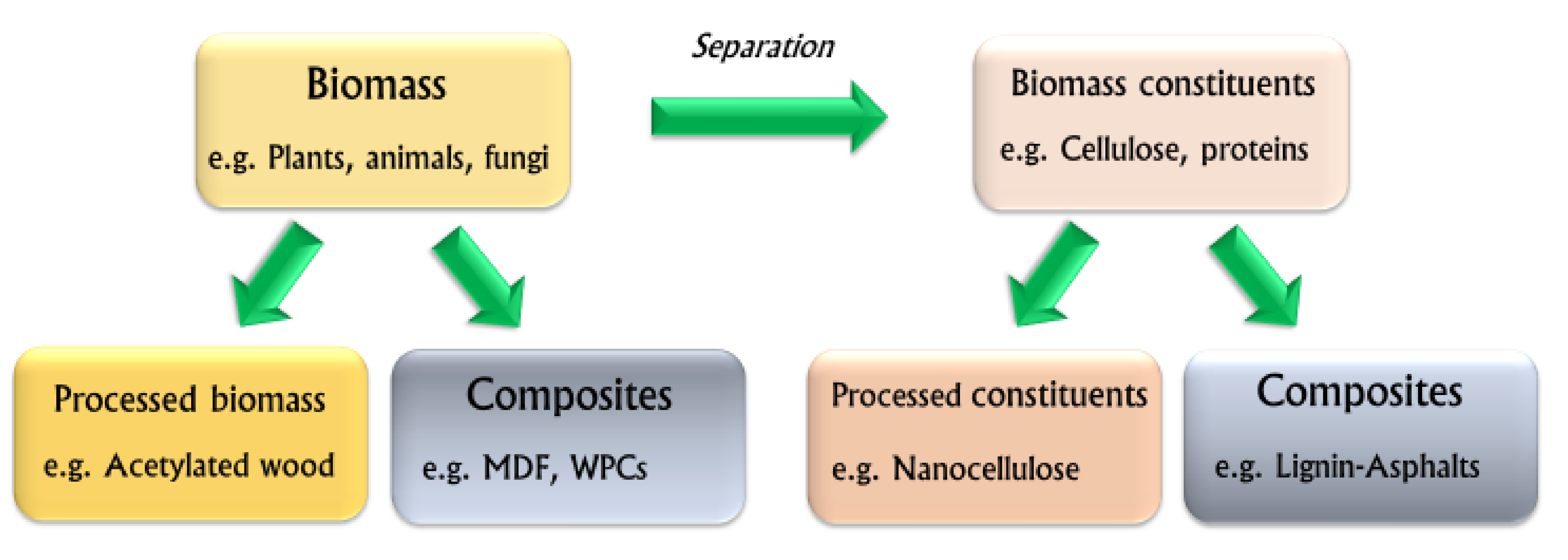 Polymers 12 00775 g001
