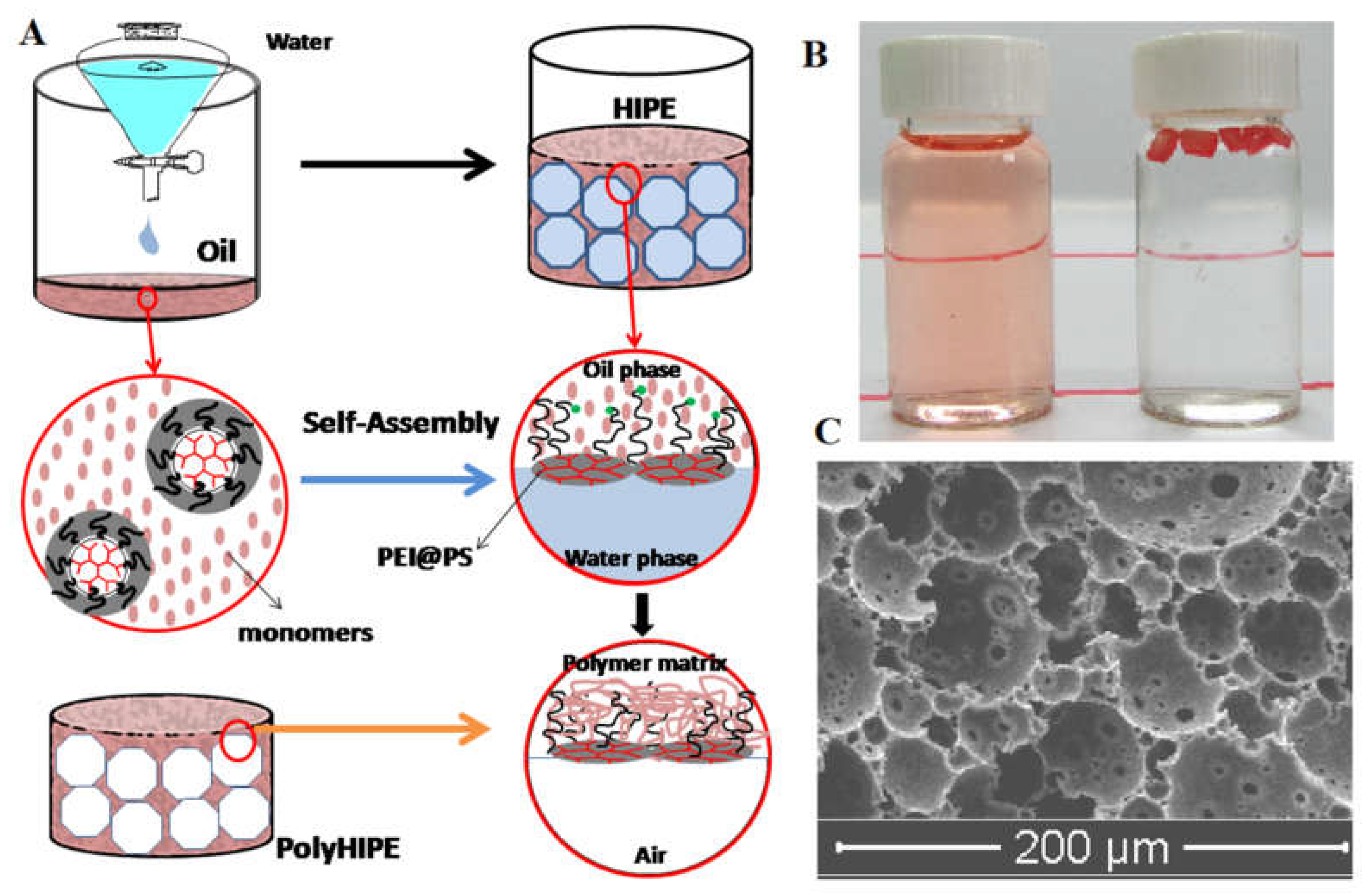 Polymers 12 00779 g004 Polymers 12 00779 g004