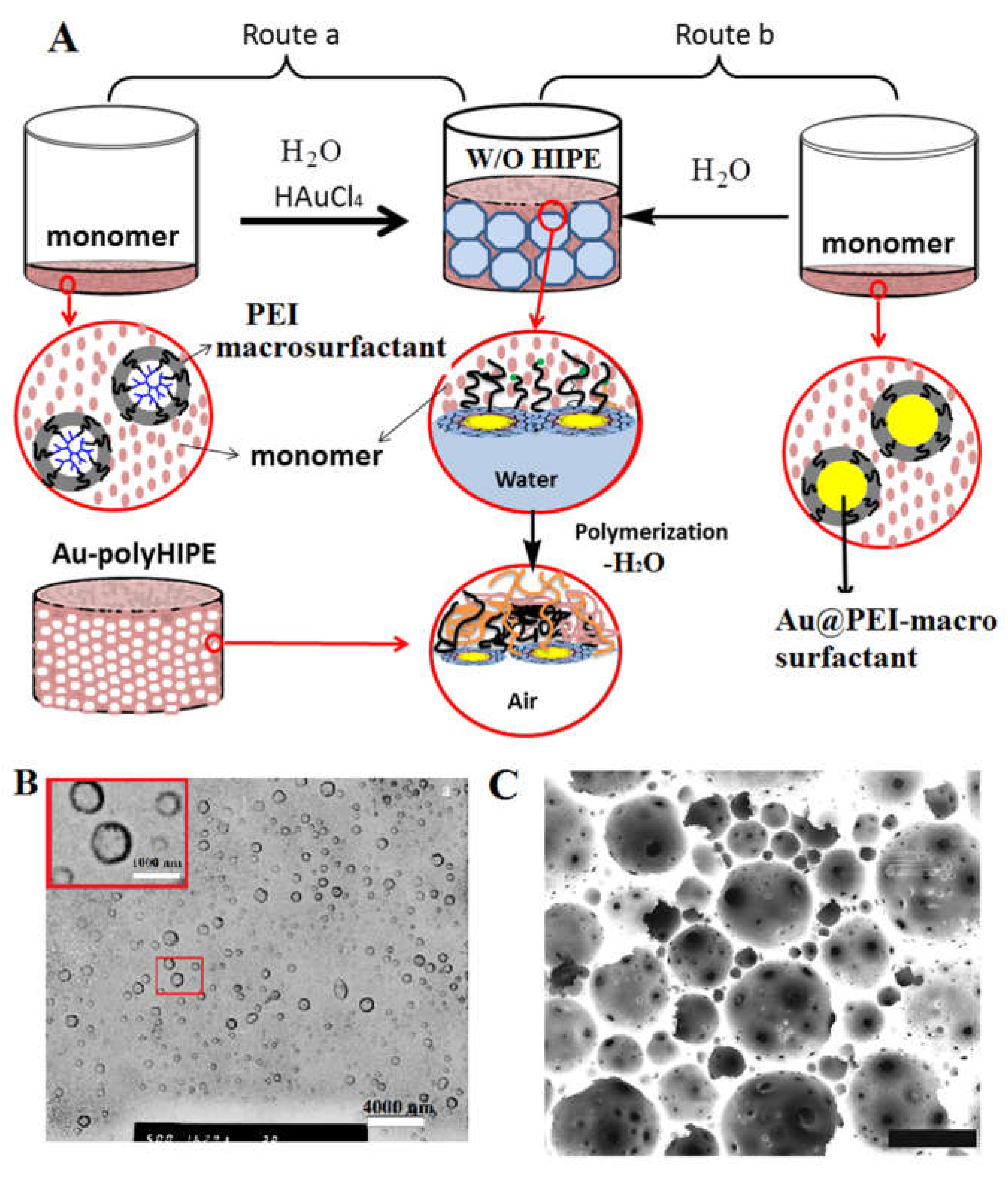 Polymers 12 00779 g006 Polymers 12 00779 g006
