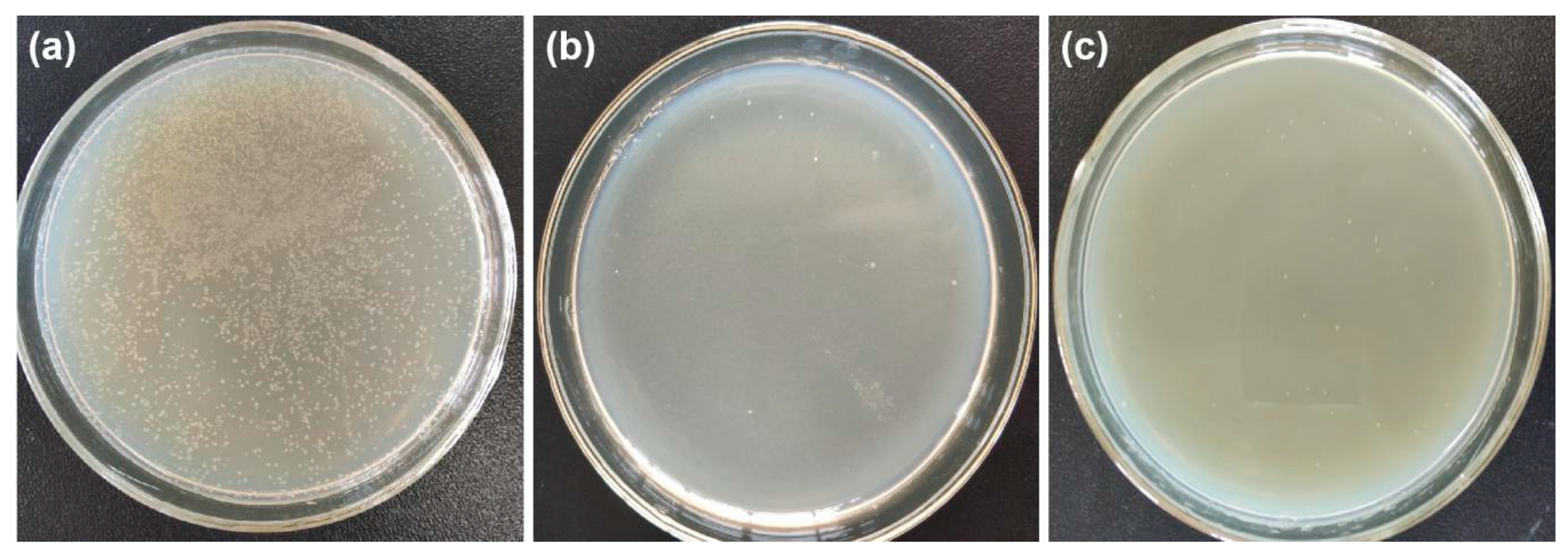 Polymers 12 00783 g011 Polymers 12 00783 g011