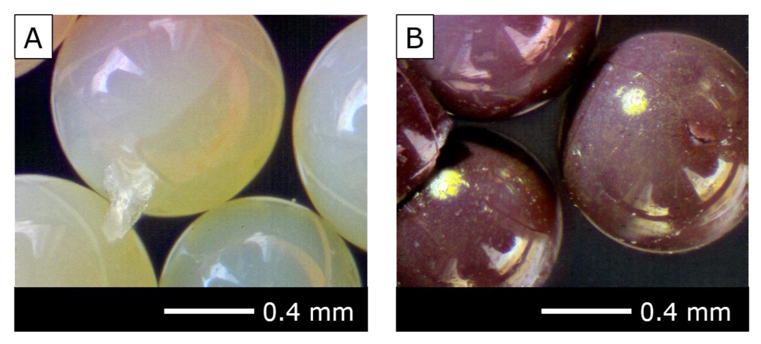 Polymers 12 00784 g004
