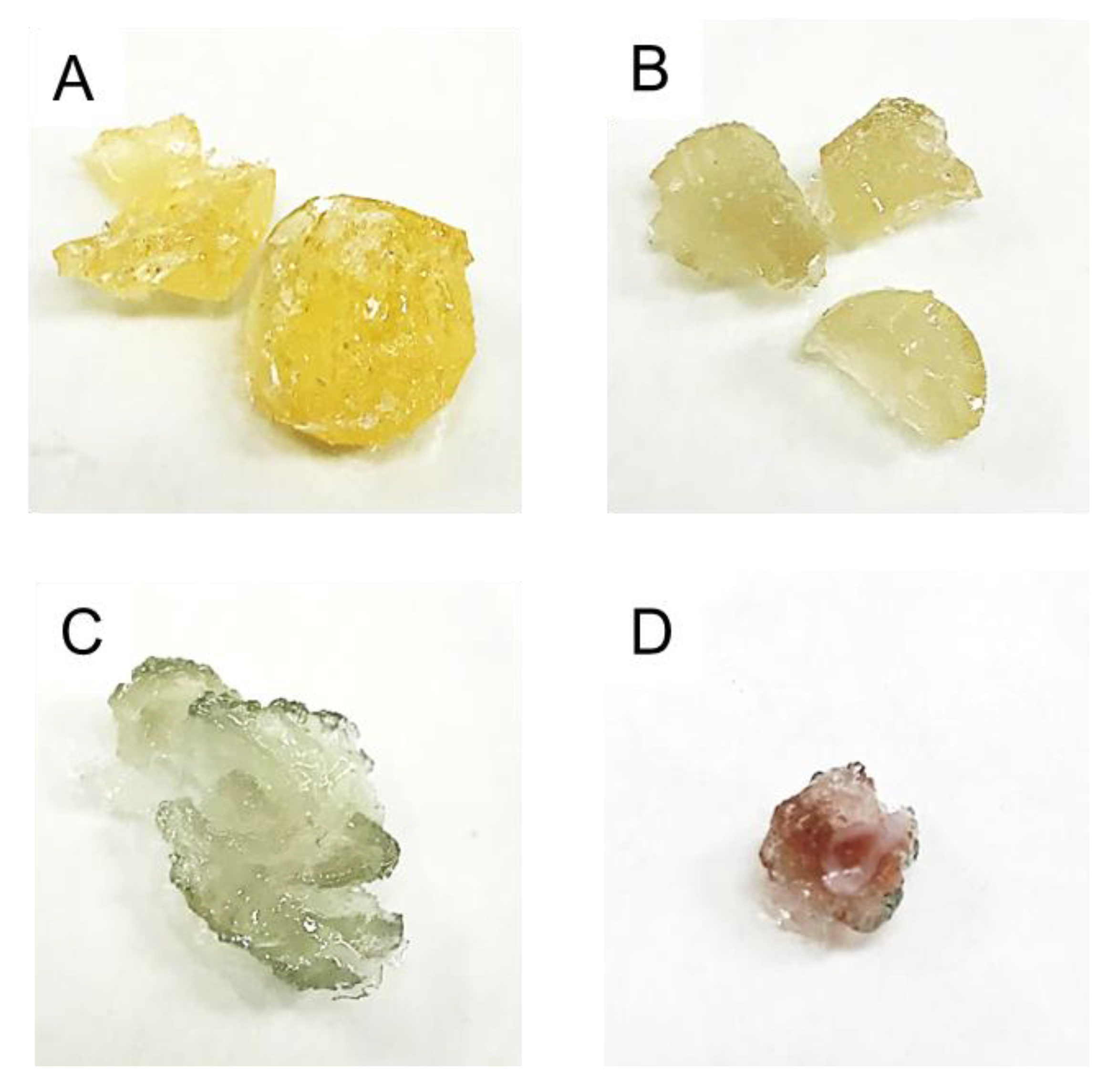 Polymers 12 00784 g010