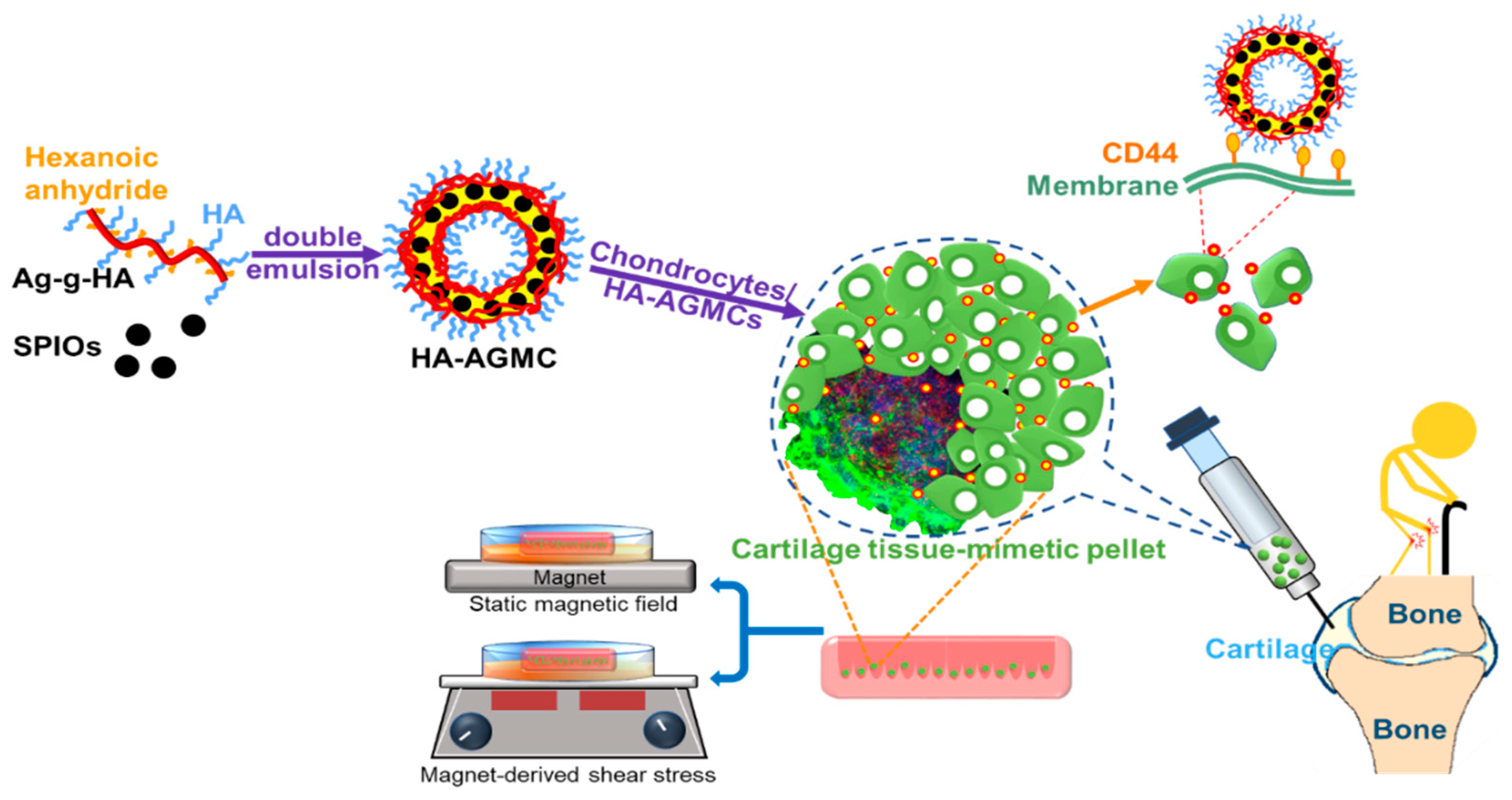 Polymers 12 00785 g001 Polymers 12 00785 g001