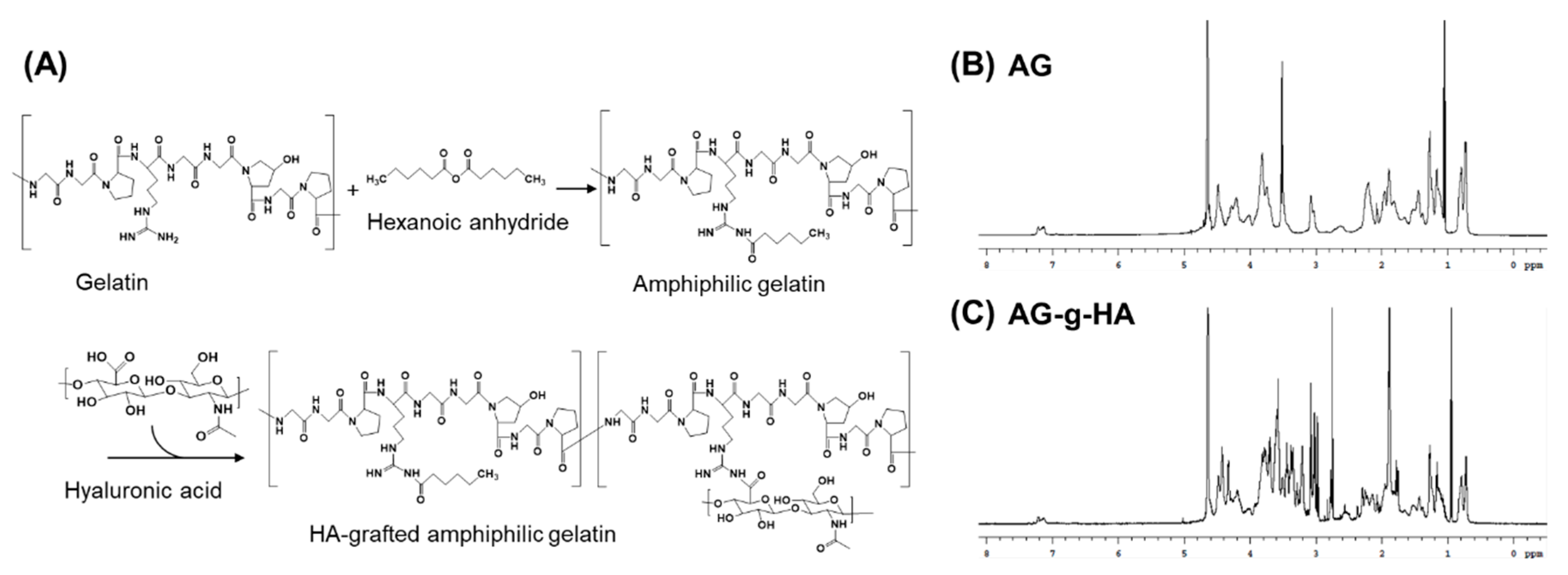 Polymers 12 00785 g002 Polymers 12 00785 g002