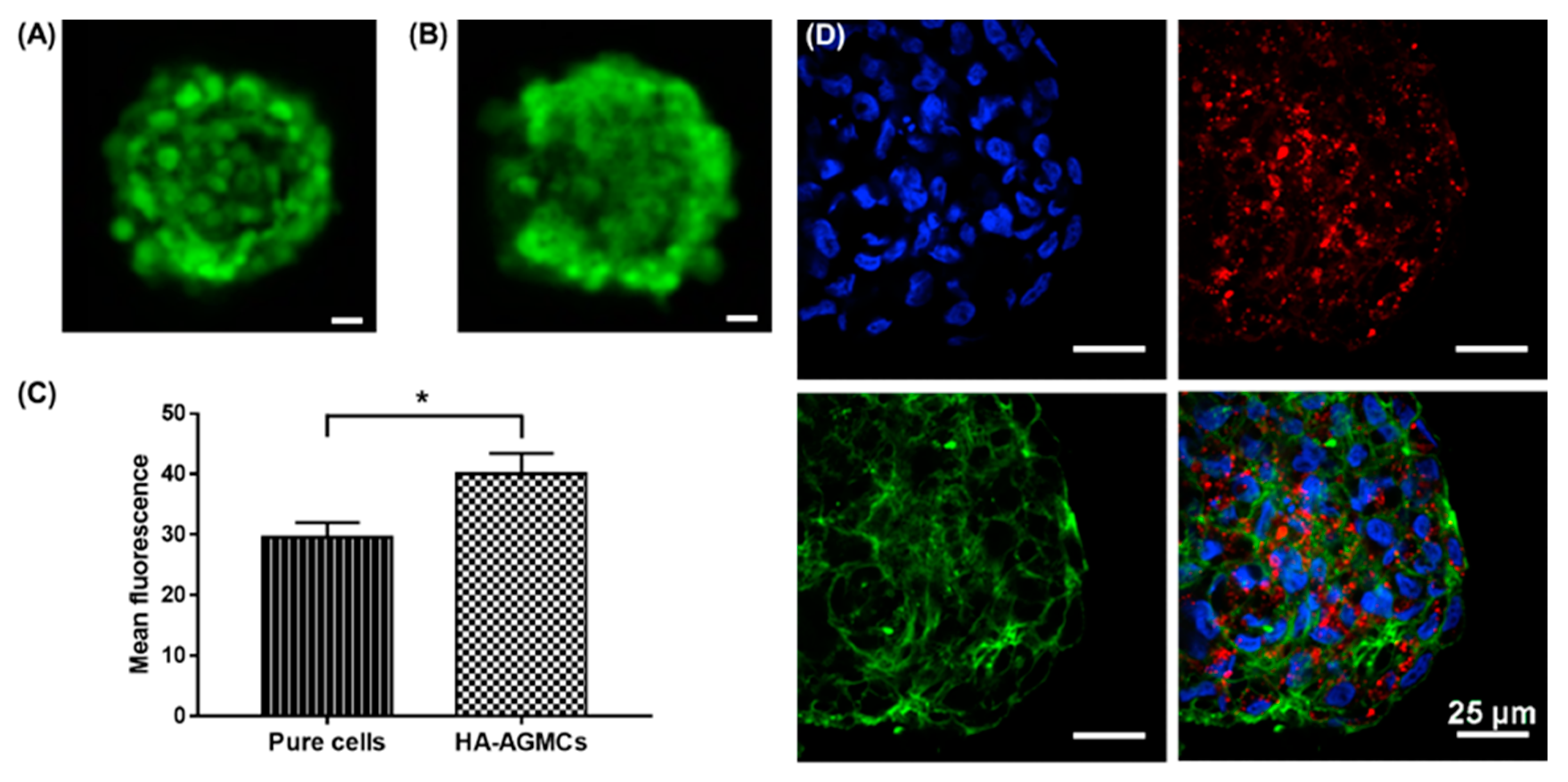 Polymers 12 00785 g005 Polymers 12 00785 g005