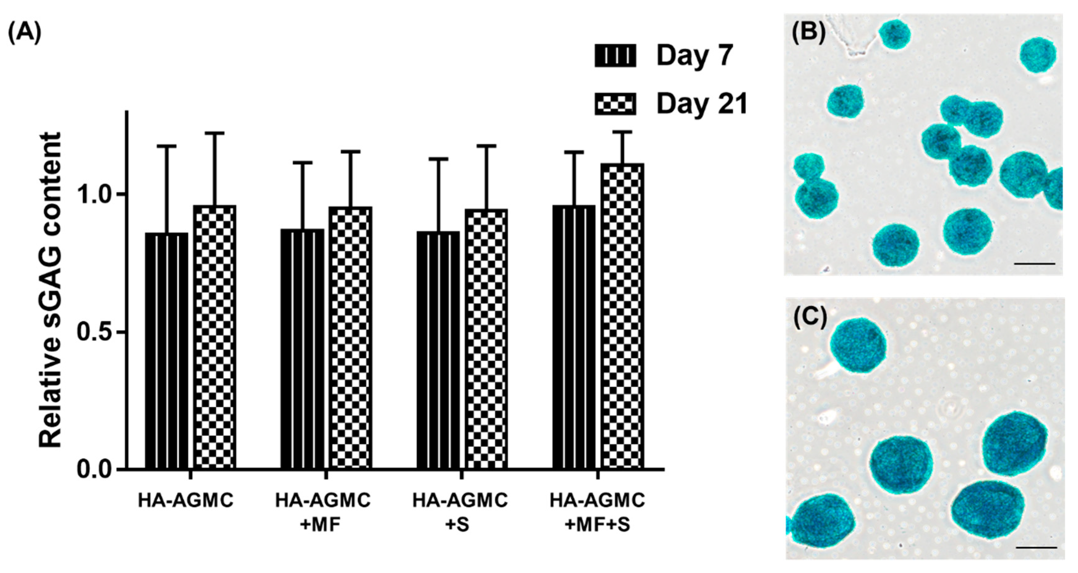 Polymers 12 00785 g007 Polymers 12 00785 g007