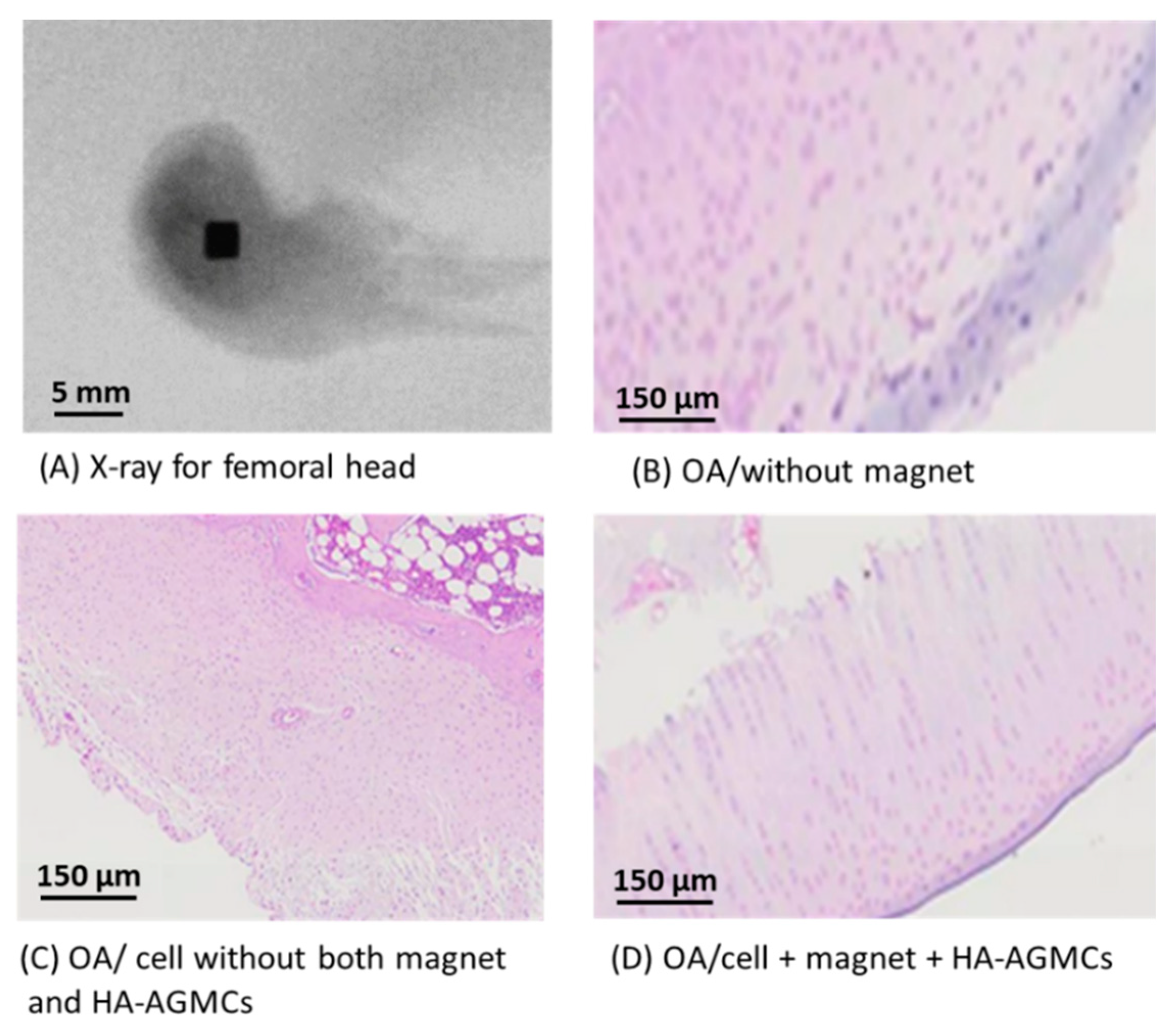 Polymers 12 00785 g008 Polymers 12 00785 g008