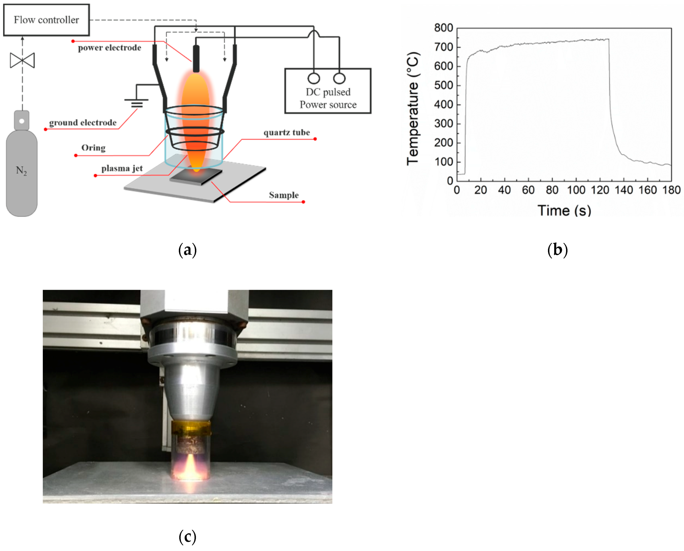 Polymers 12 00788 g001