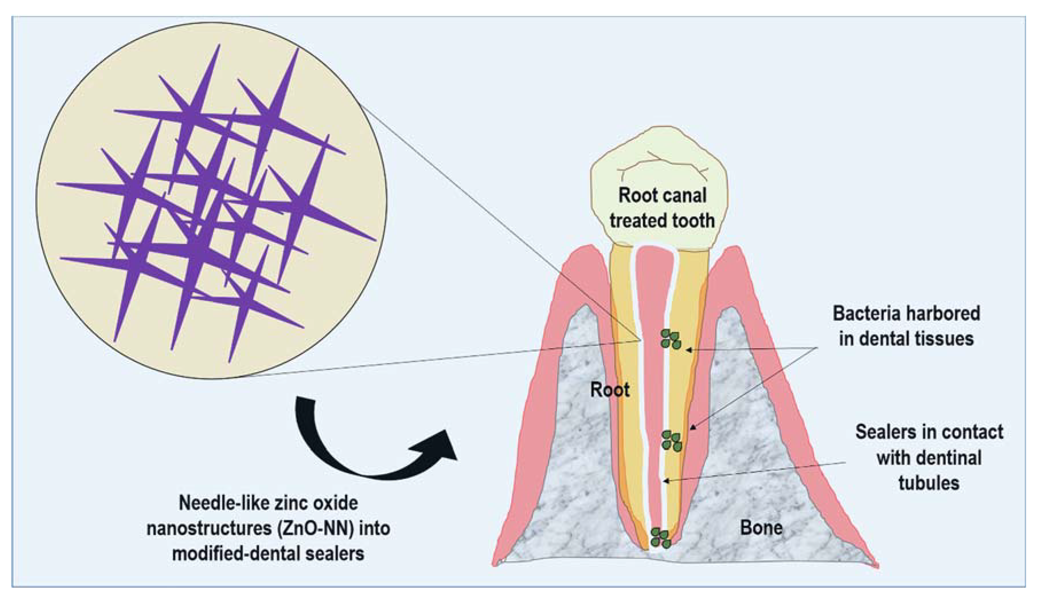 Polymers 12 00789 g001 Polymers 12 00789 g001