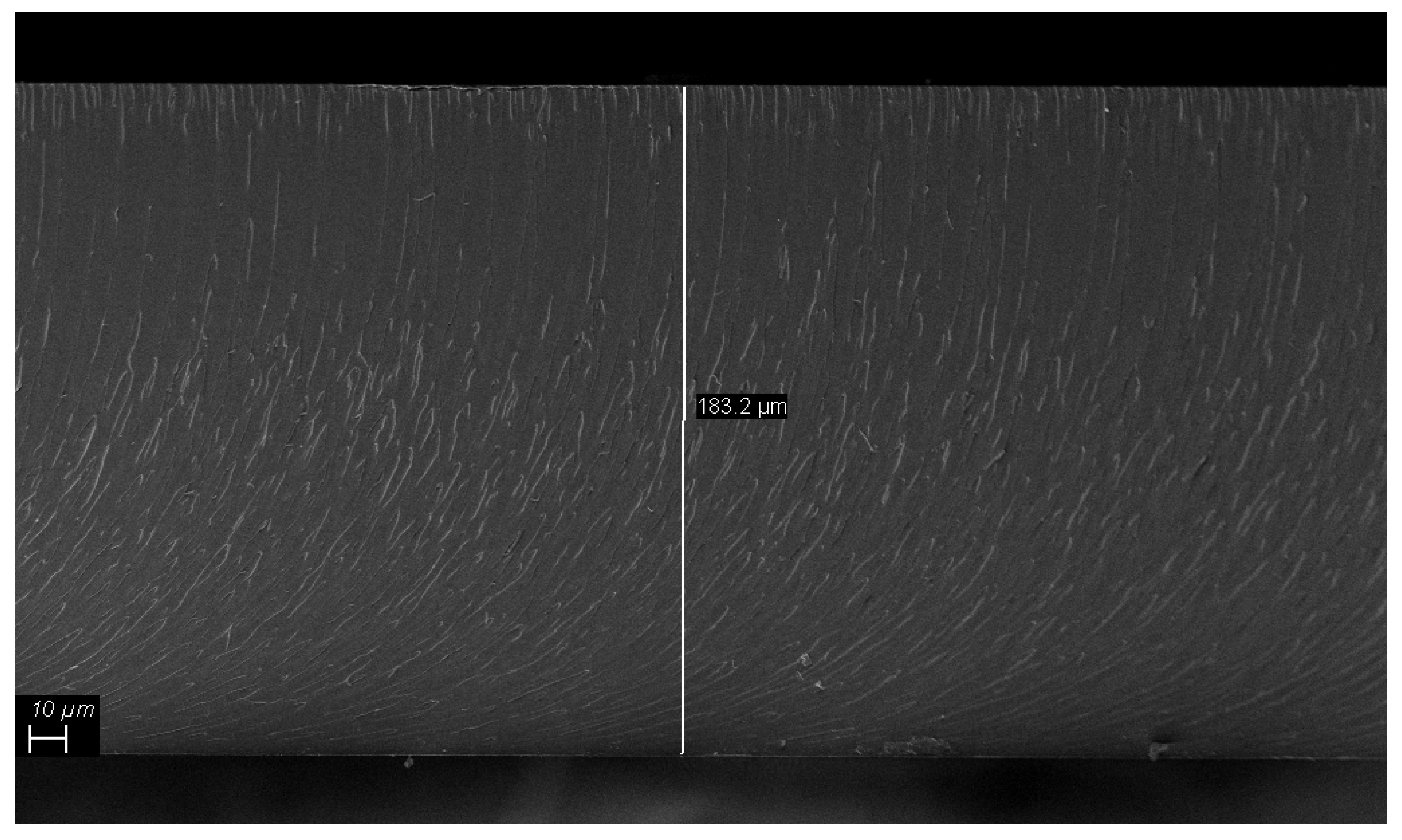 Polymers 12 00796 g003