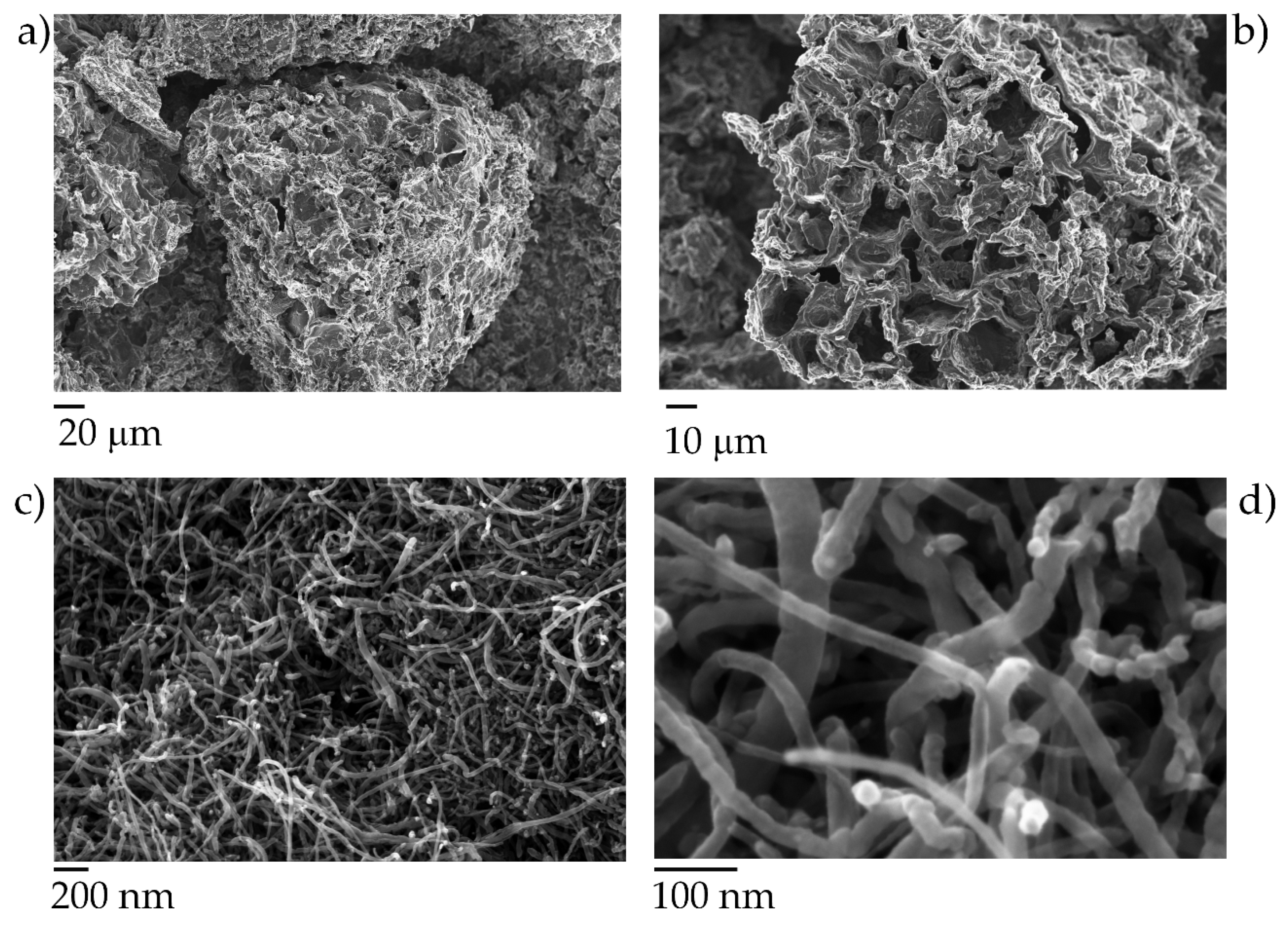 Polymers 12 00796 g004