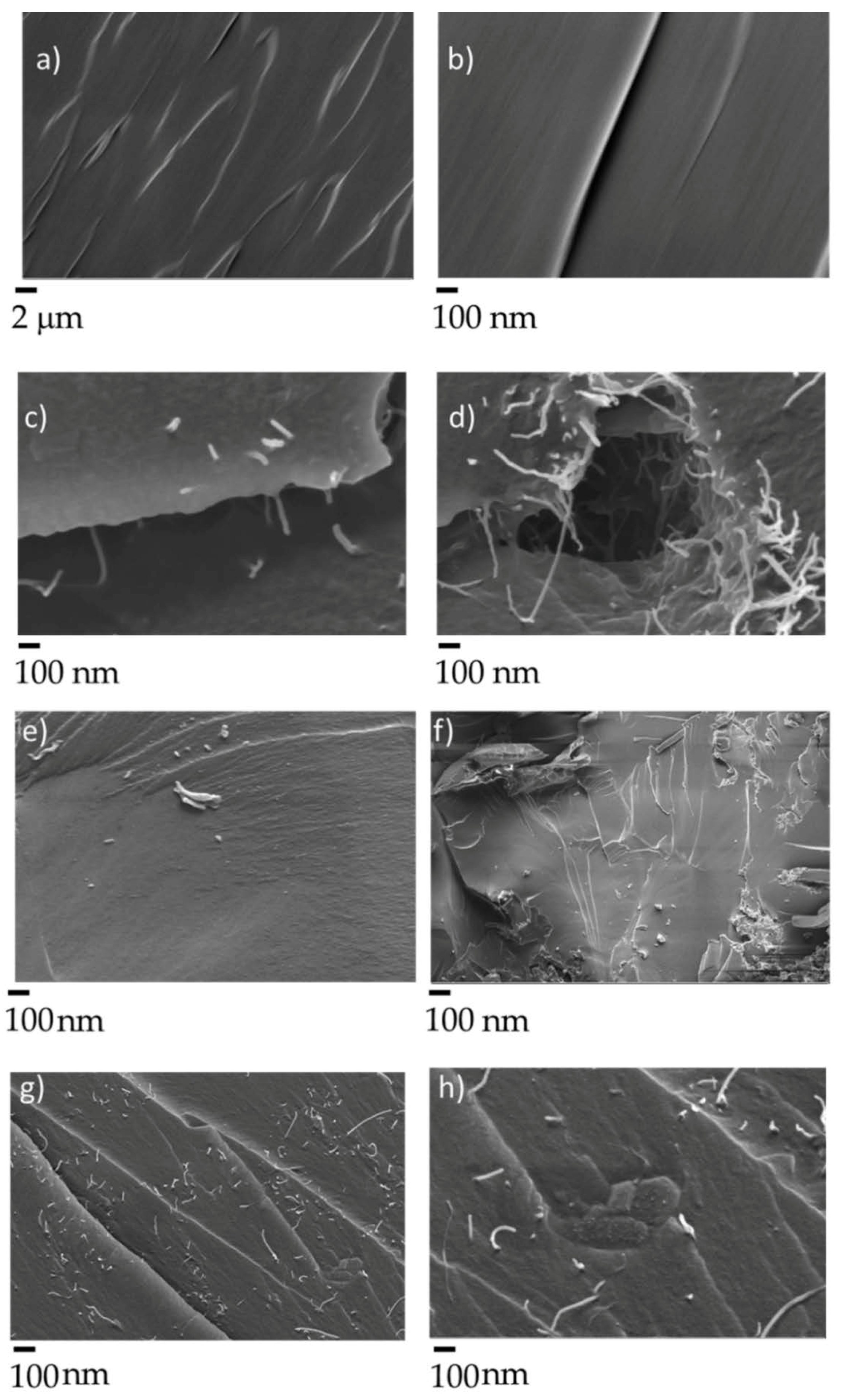 Polymers 12 00796 g005