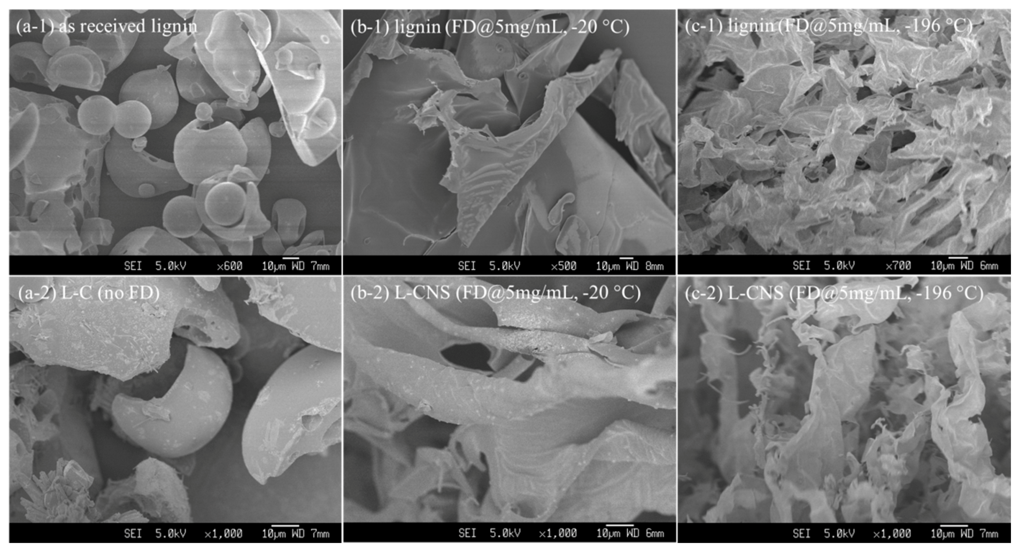 Polymers 12 00797 g001