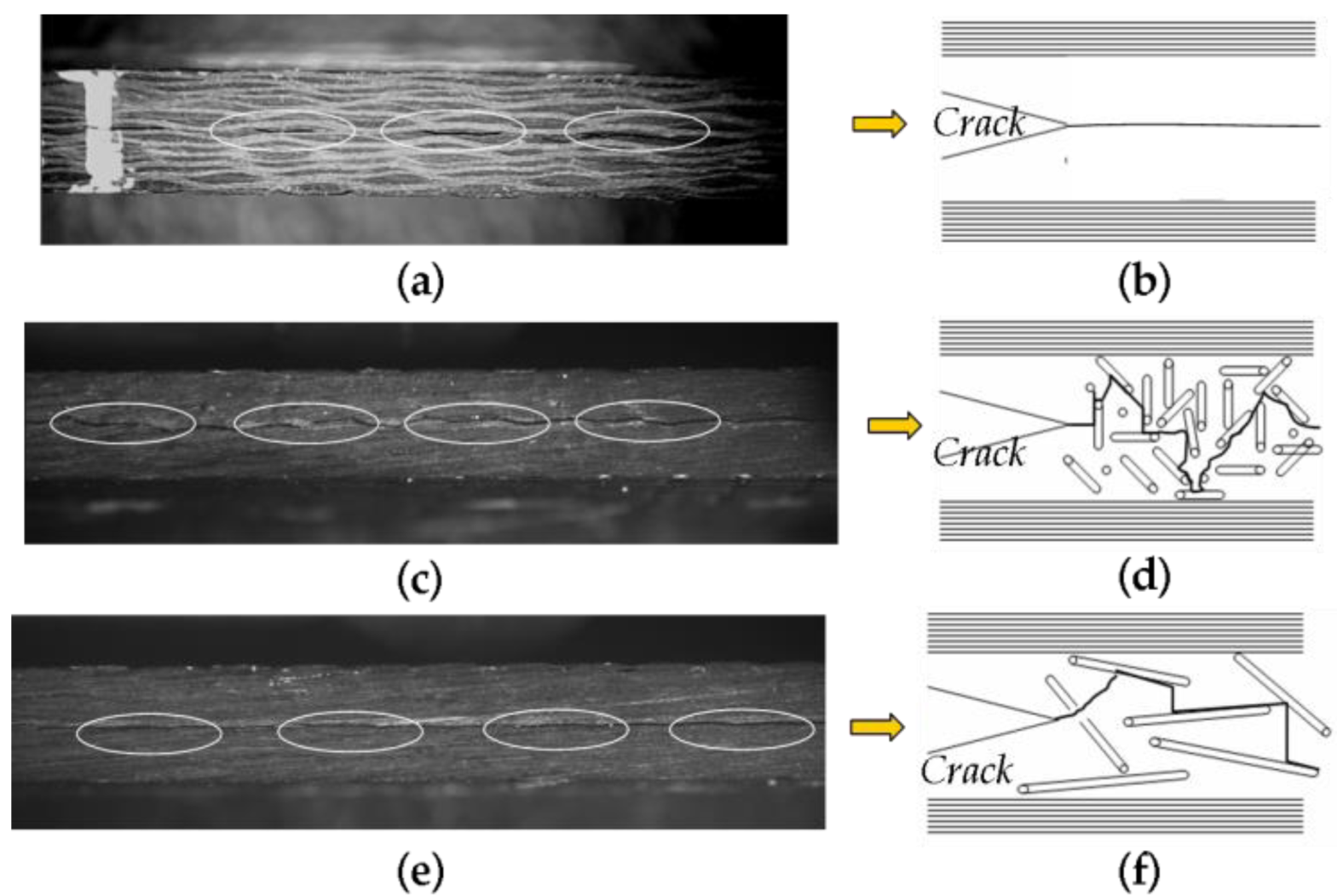 Polymers 12 00803 g008 Polymers 12 00803 g008