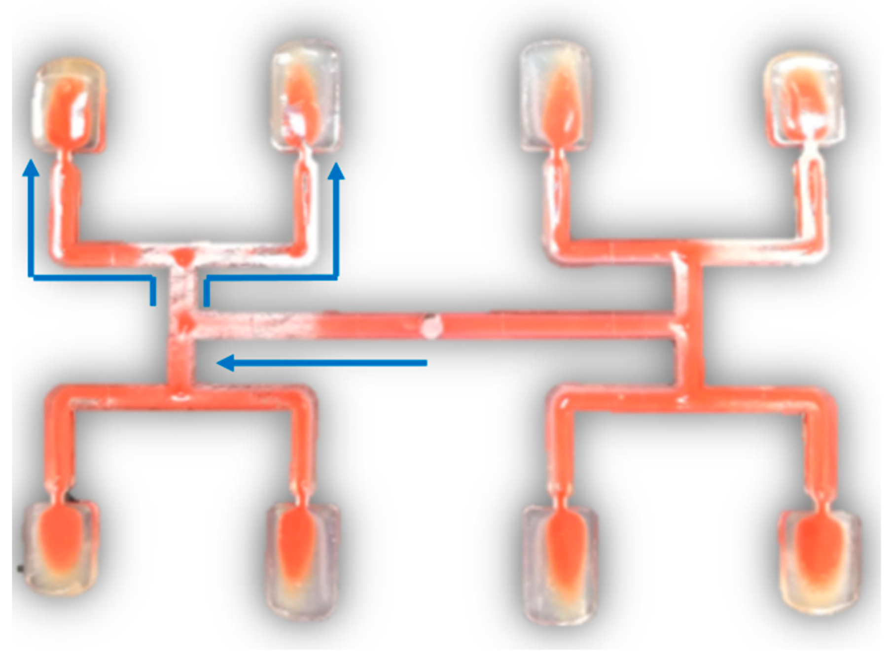 Polymers 12 00805 g001