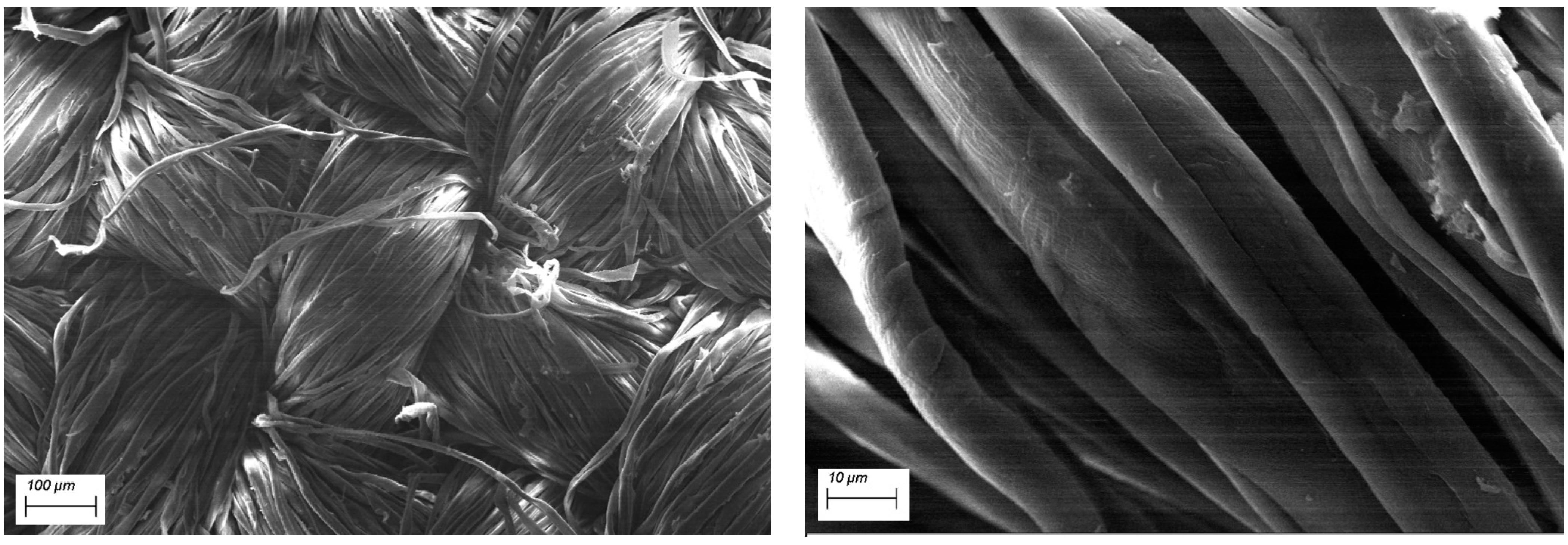 Polymers 12 00811 g002 Polymers 12 00811 g002