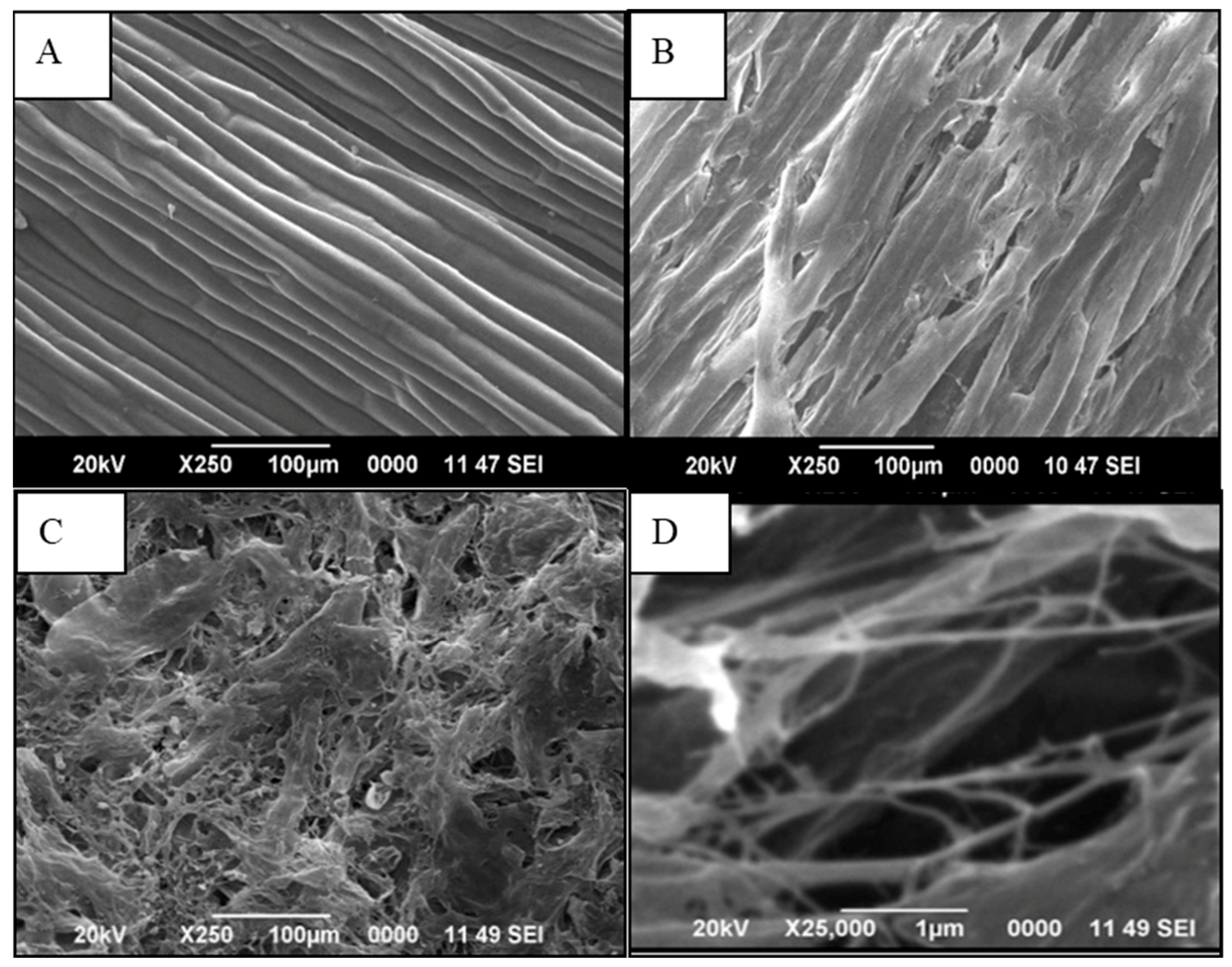 Polymers 12 00814 g003 Polymers 12 00814 g003