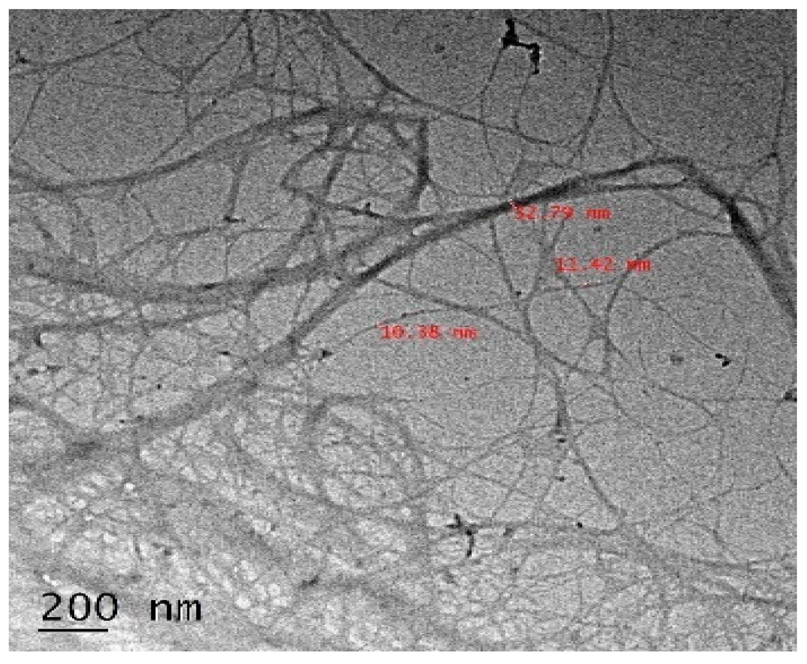 Polymers 12 00814 g004 Polymers 12 00814 g004