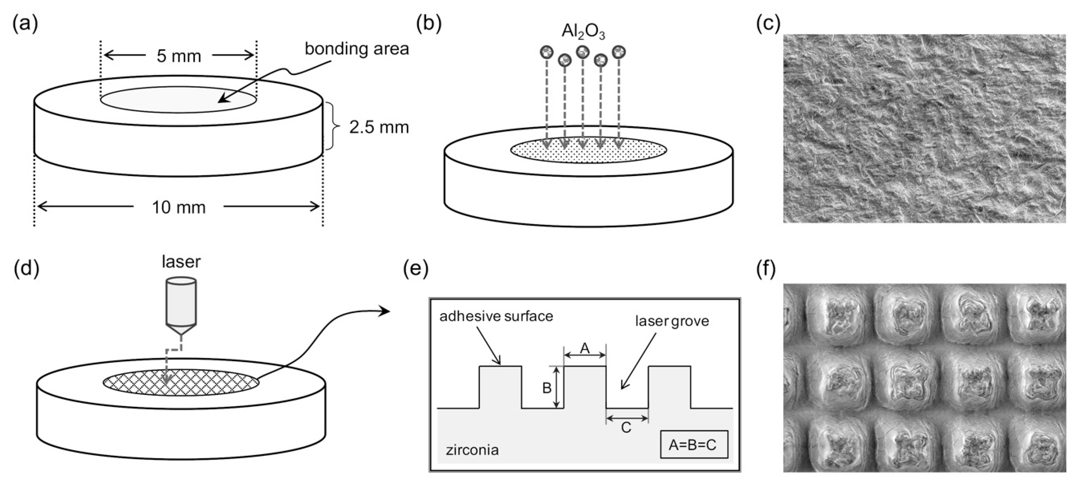 Polymers 12 00817 g001