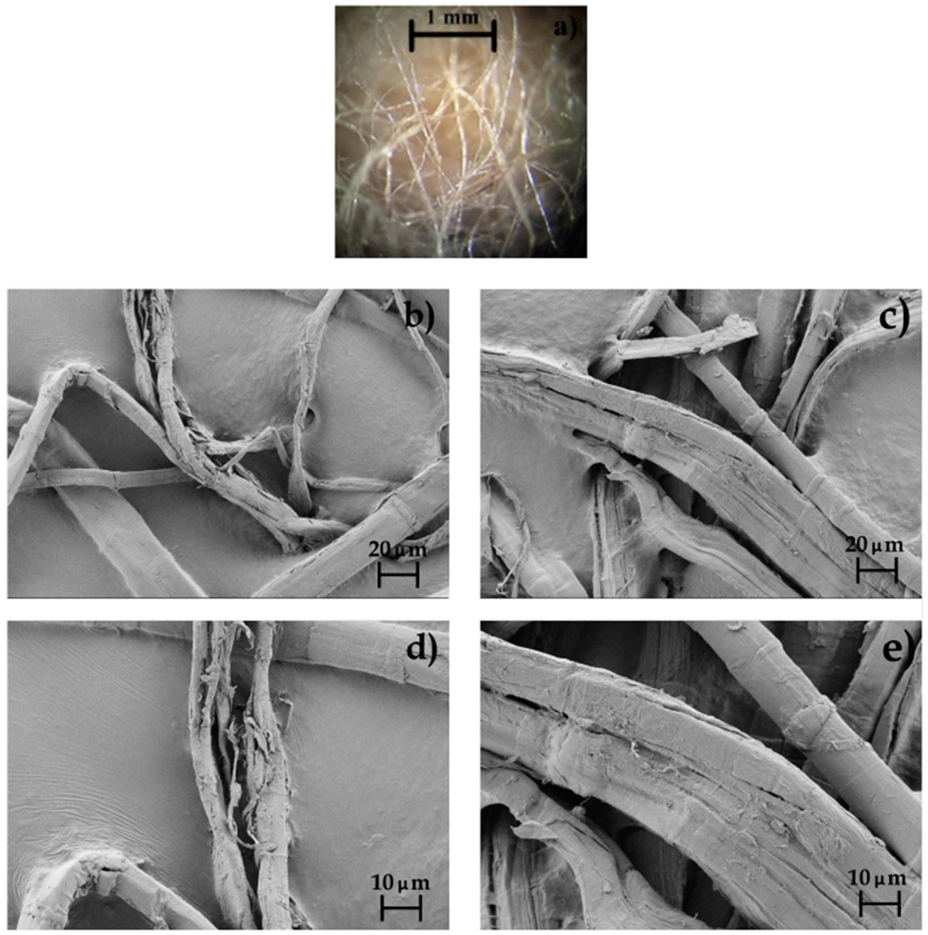 Polymers 12 00821 g003 Polymers 12 00821 g003