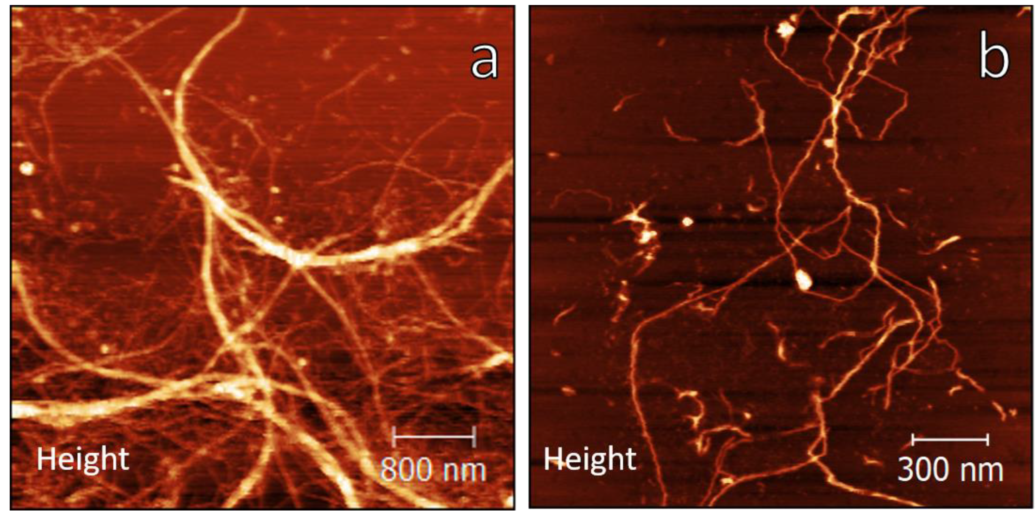 Polymers 12 00824 g001 Polymers 12 00824 g001