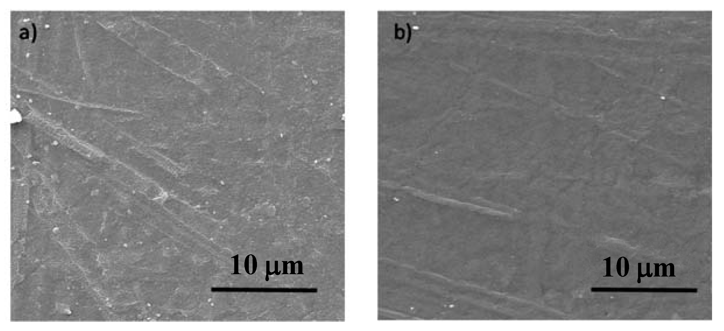 Polymers 12 00828 g001