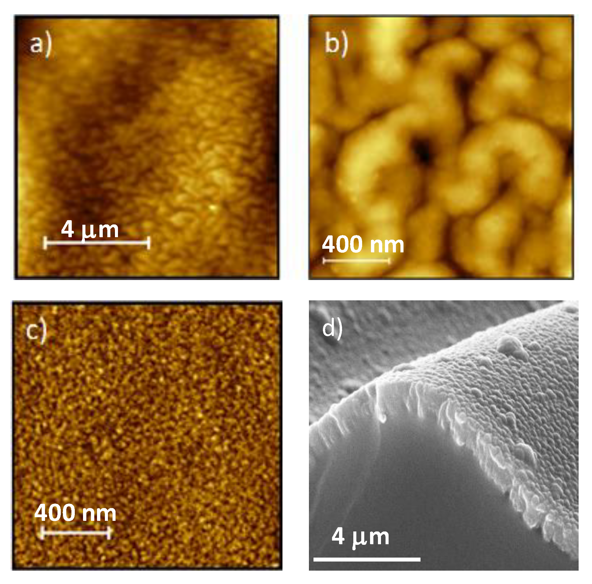 Polymers 12 00828 g004