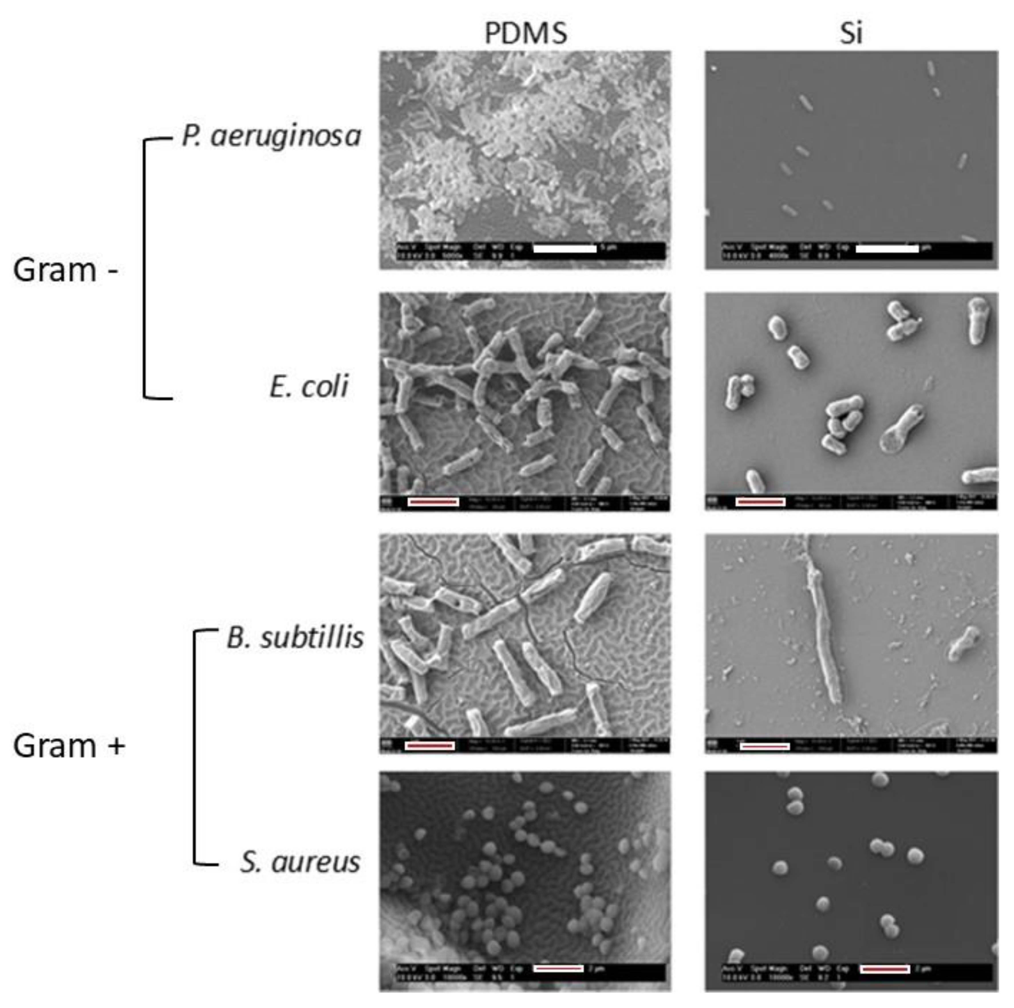 Polymers 12 00828 g008
