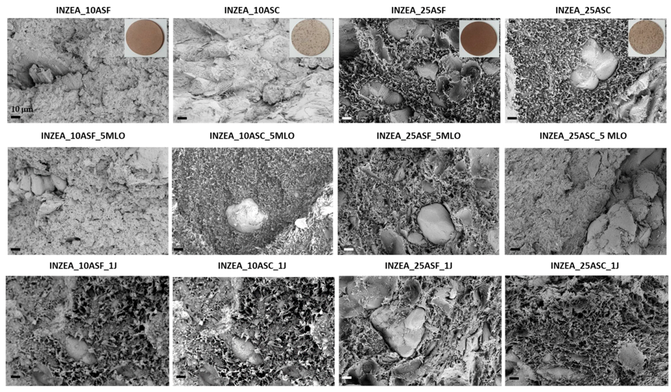 Polymers 12 00835 g004 Polymers 12 00835 g004