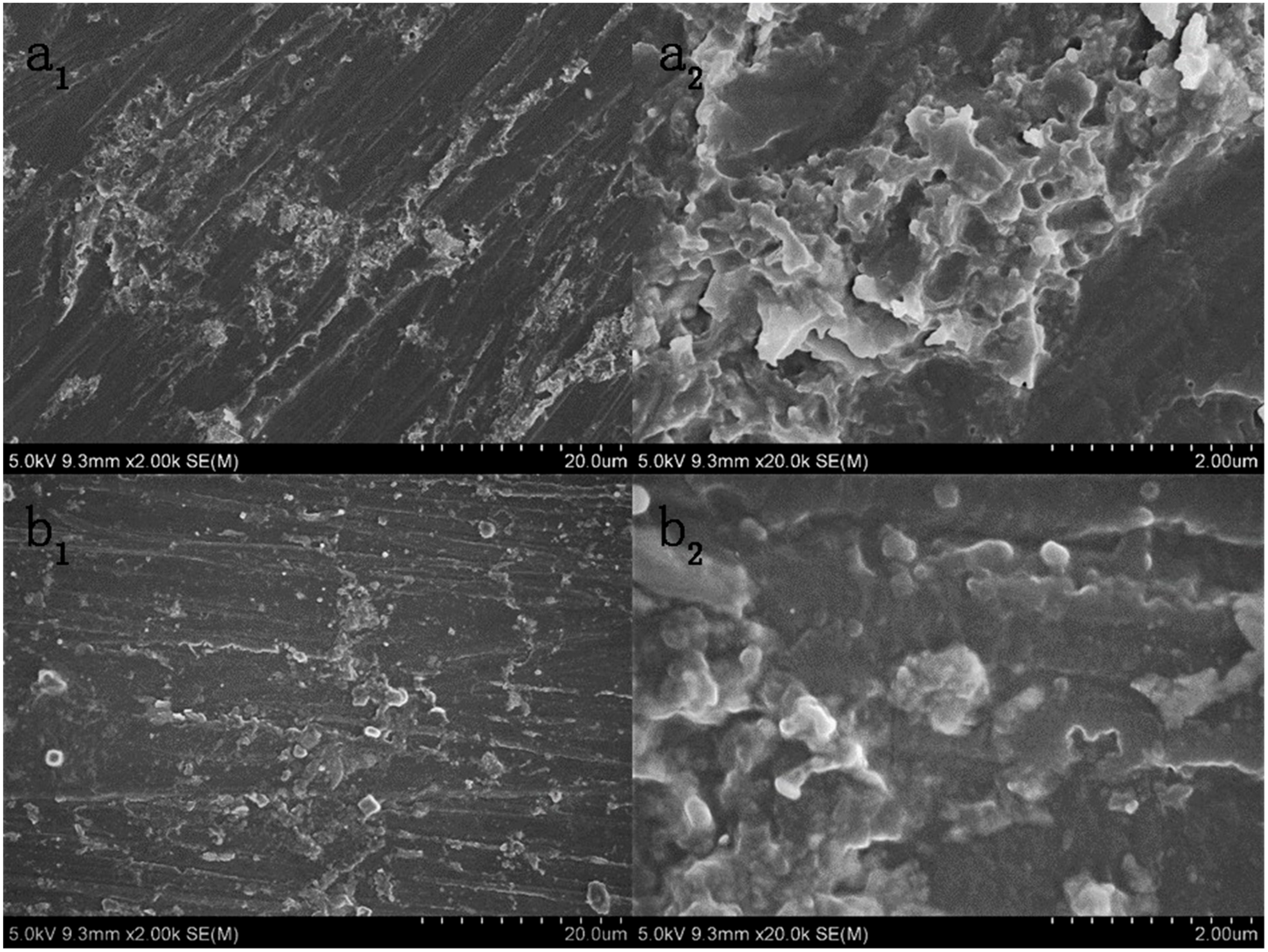 Polymers 12 00837 g008