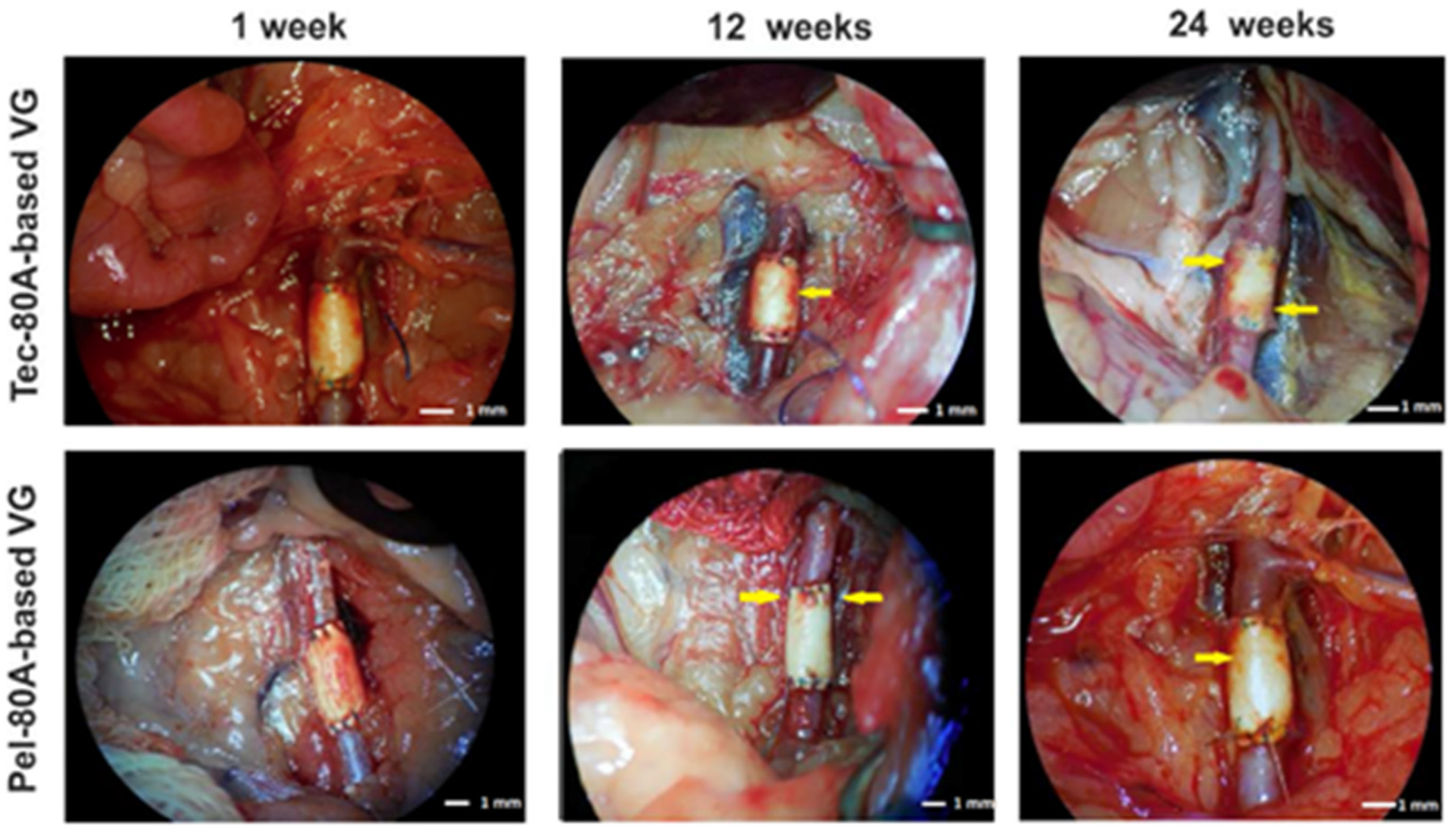 Polymers 12 00845 g001 Polymers 12 00845 g001
