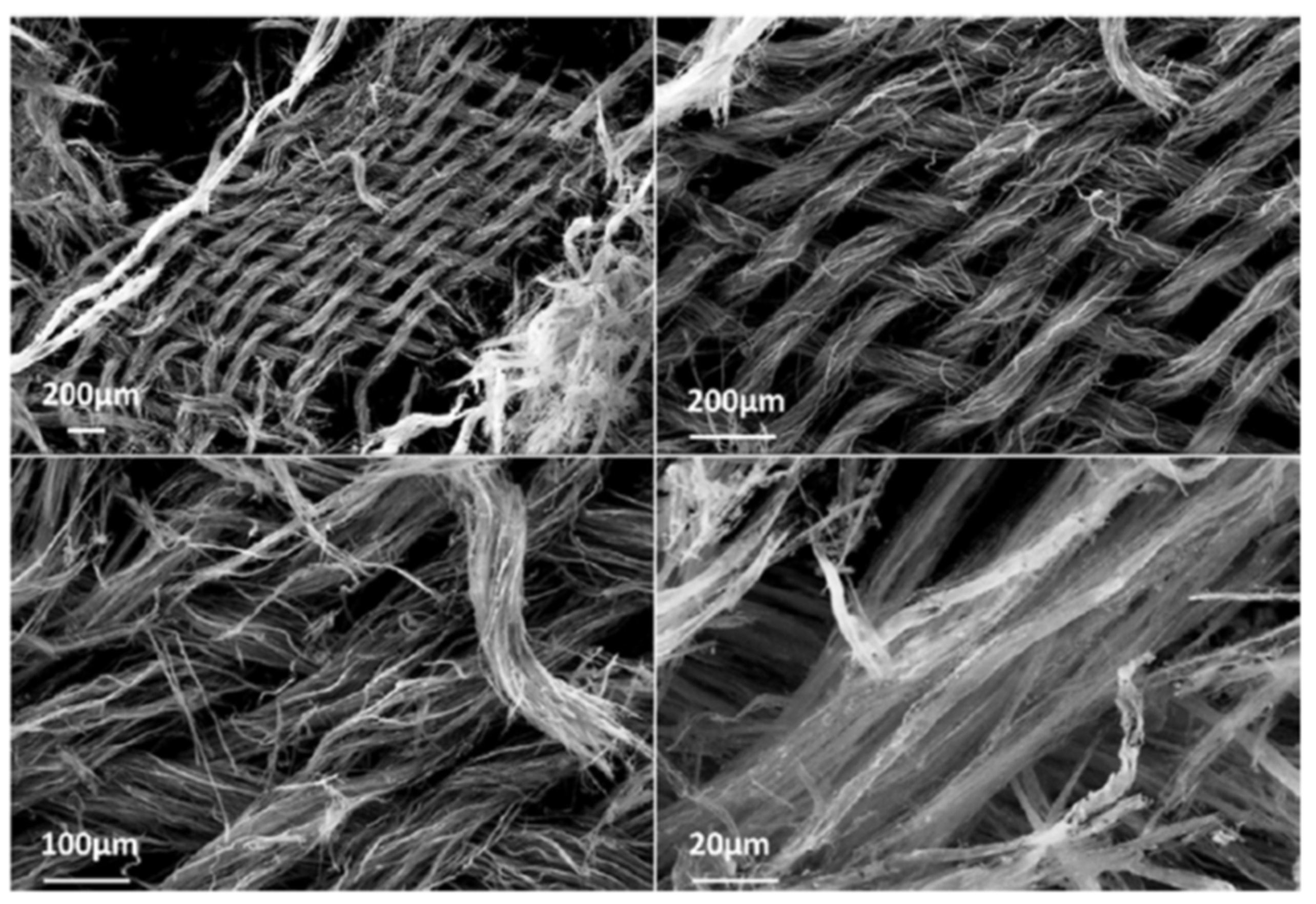 Polymers 12 00849 g006