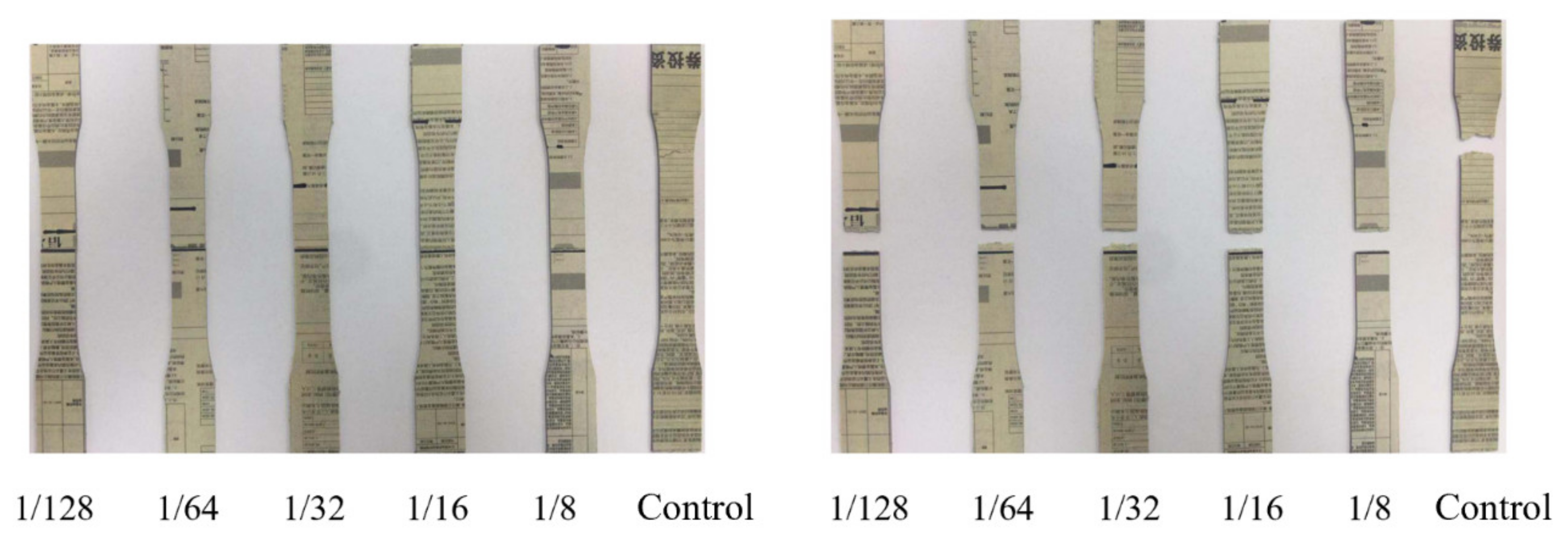 Polymers 12 00851 g005 Polymers 12 00851 g005