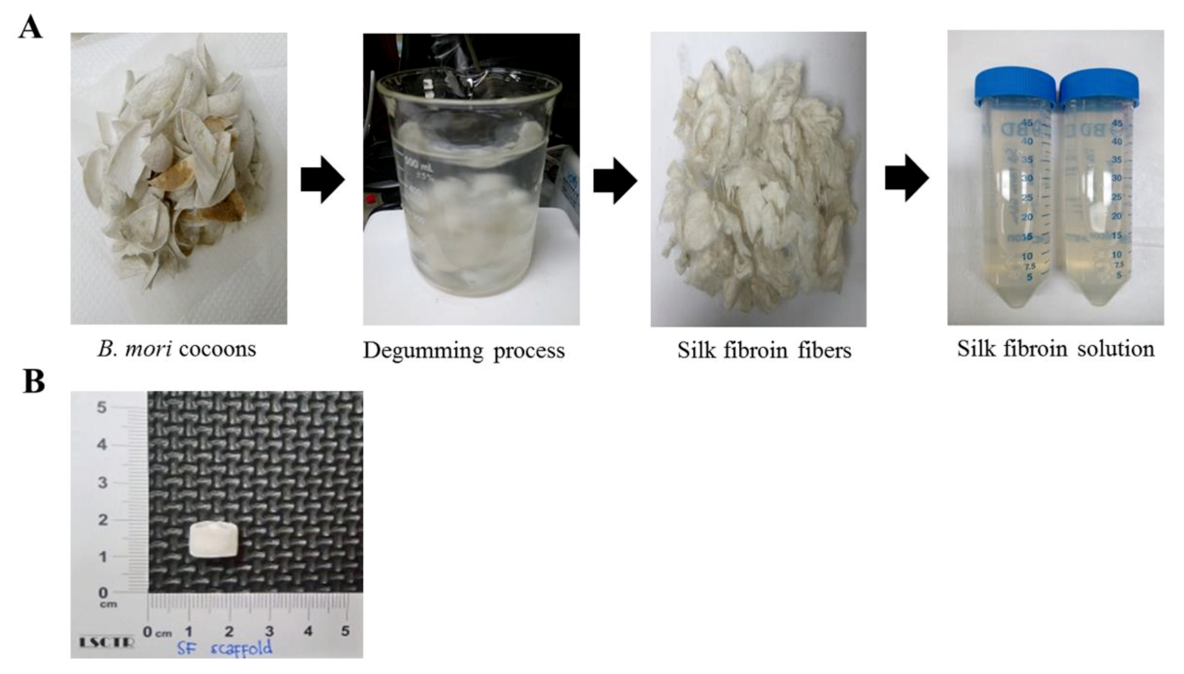 Polymers 12 00853 g001 Polymers 12 00853 g001