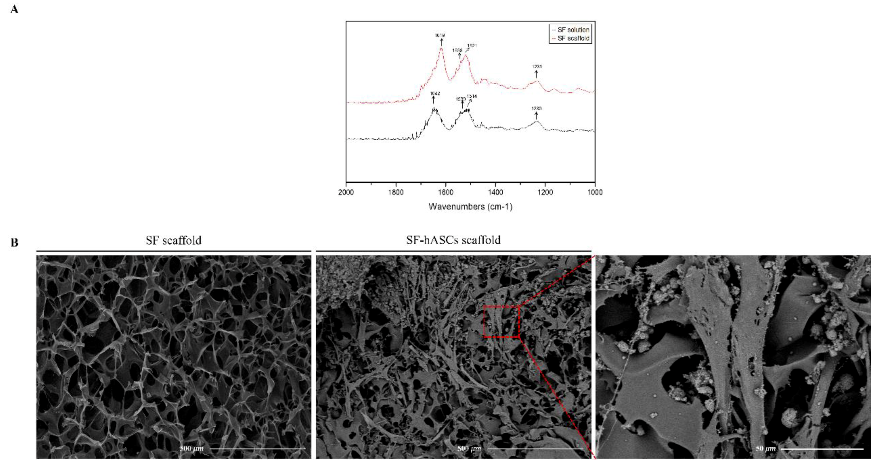 Polymers 12 00853 g002 Polymers 12 00853 g002