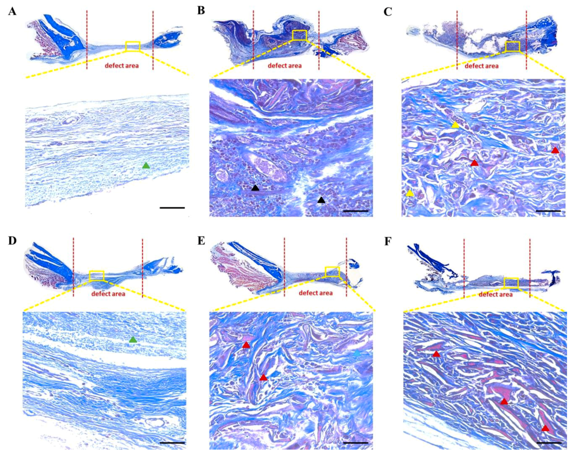 Polymers 12 00853 g006 Polymers 12 00853 g006