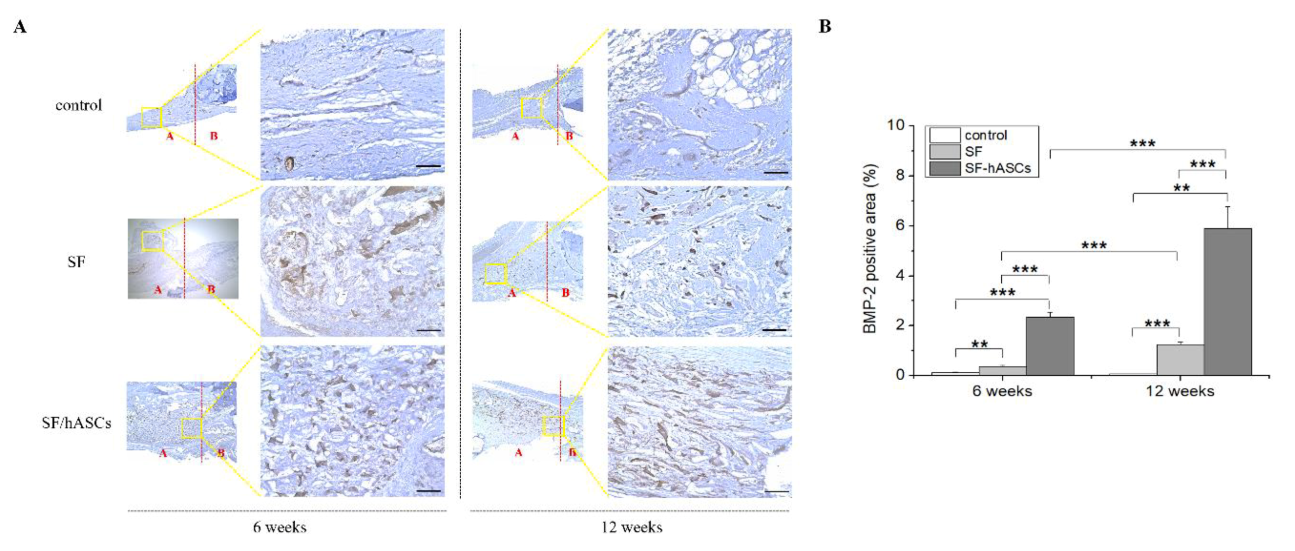 Polymers 12 00853 g007 Polymers 12 00853 g007