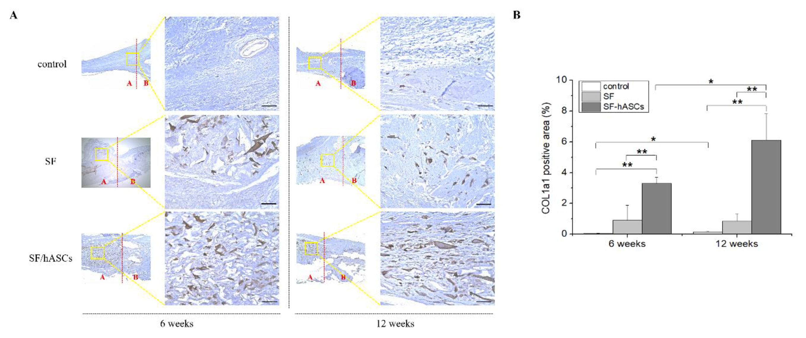 Polymers 12 00853 g008 Polymers 12 00853 g008