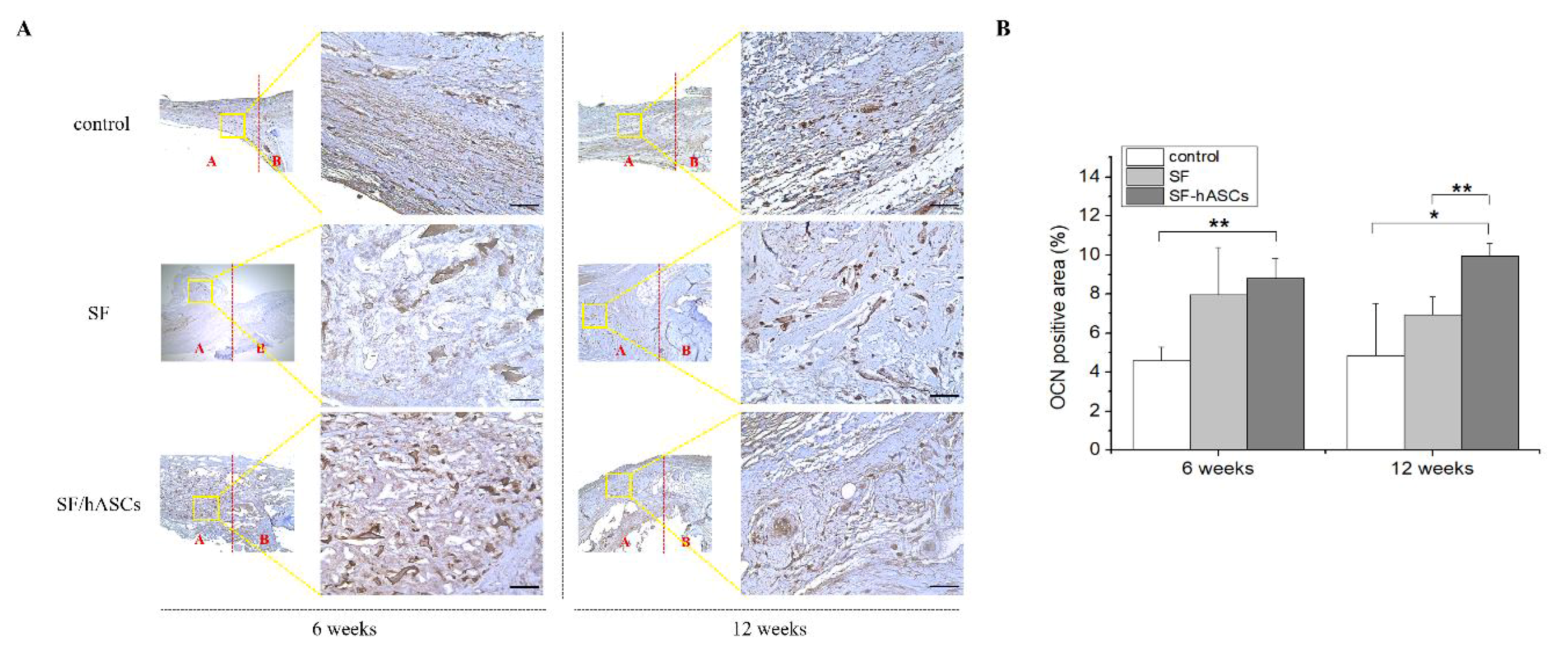 Polymers 12 00853 g009 Polymers 12 00853 g009