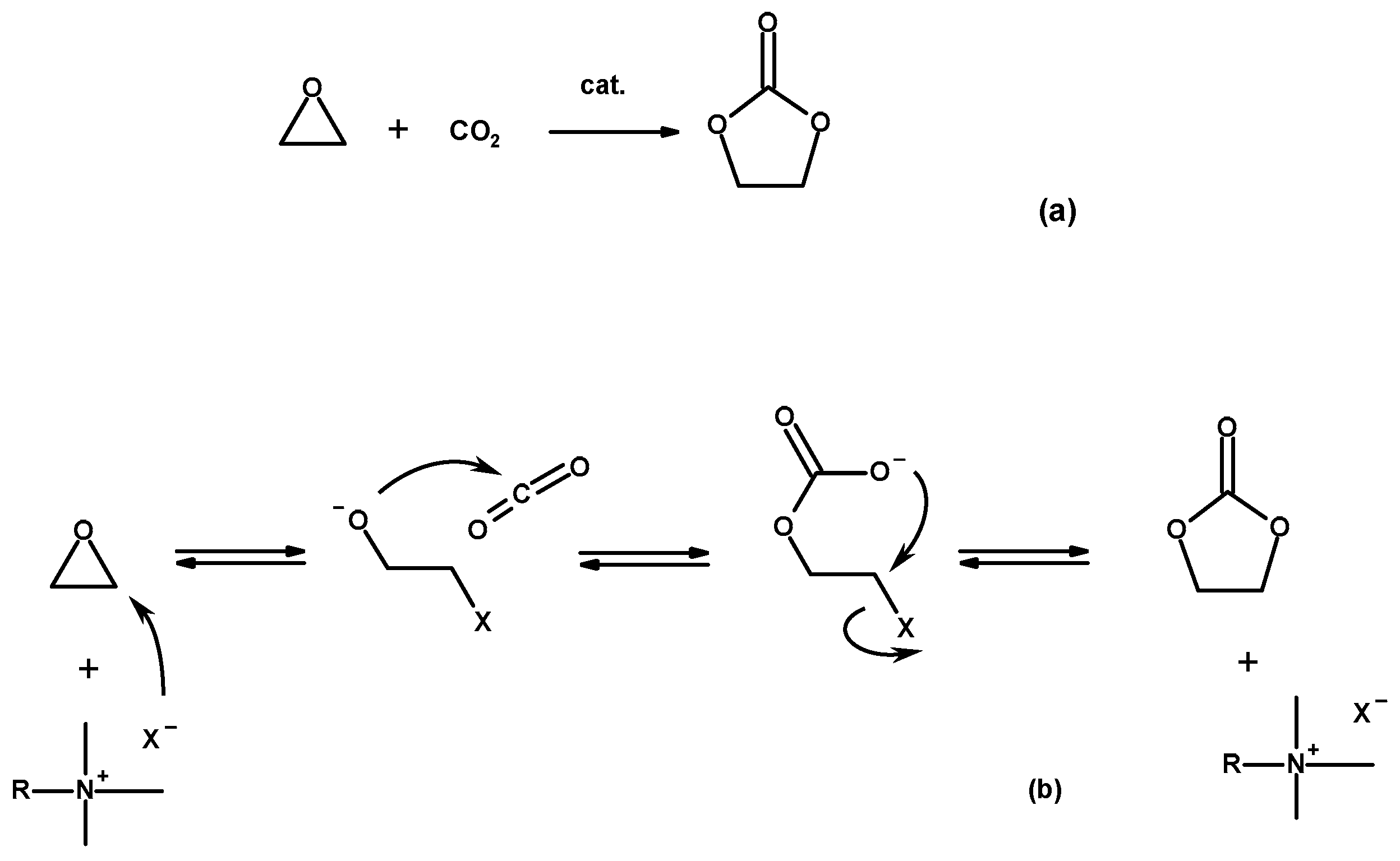 Polymers 12 00856 sch003