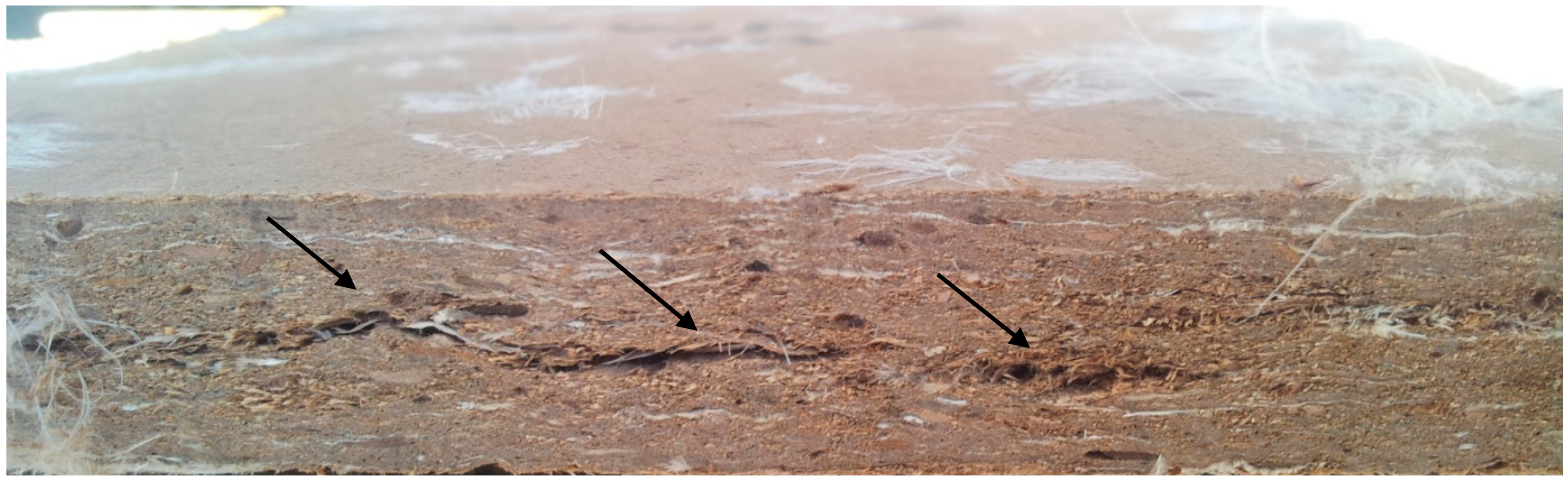 Polymers 12 00857 g003 Polymers 12 00857 g003