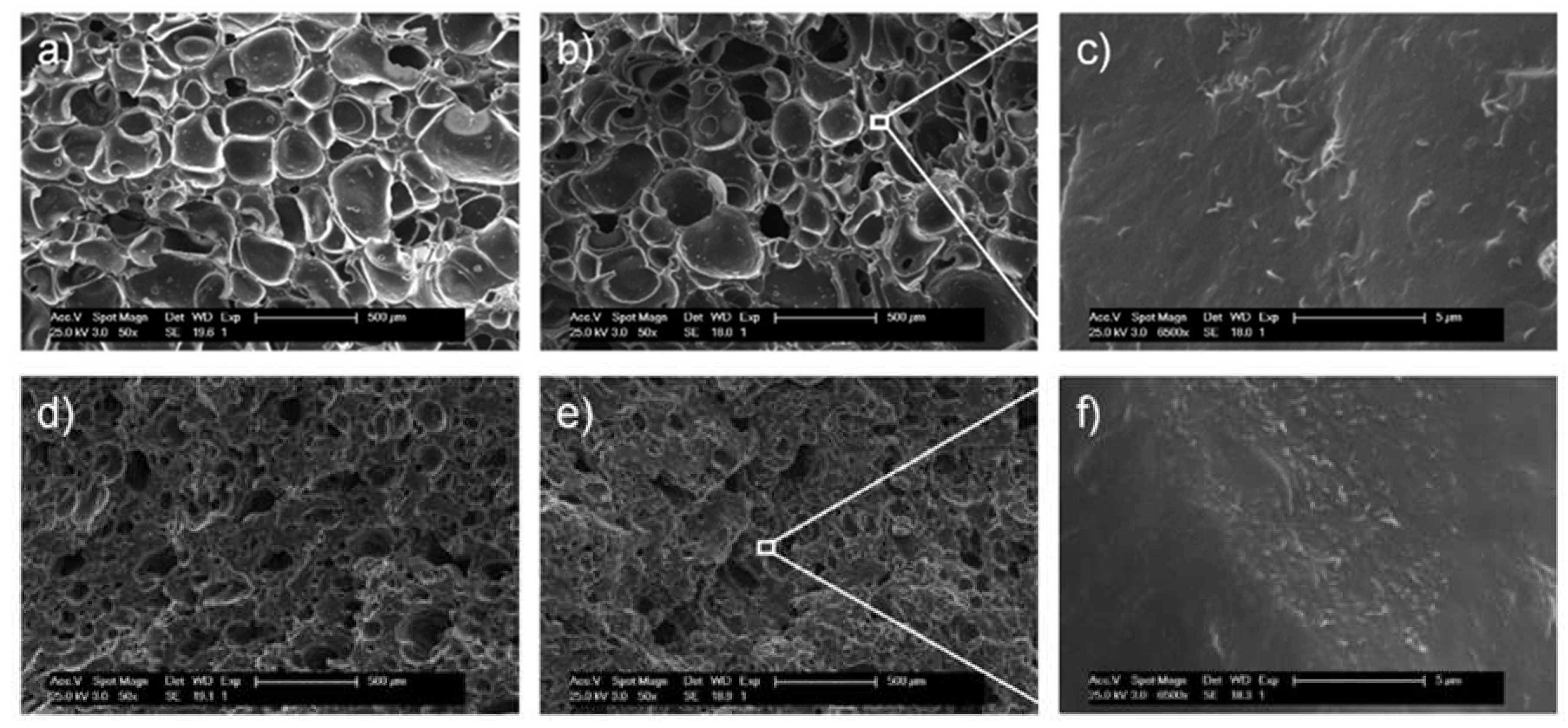 Polymers 12 00858 g002 Polymers 12 00858 g002