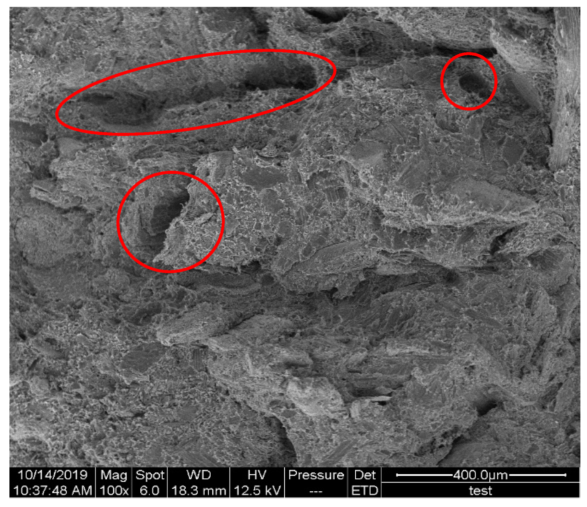 Polymers 12 00860 g008